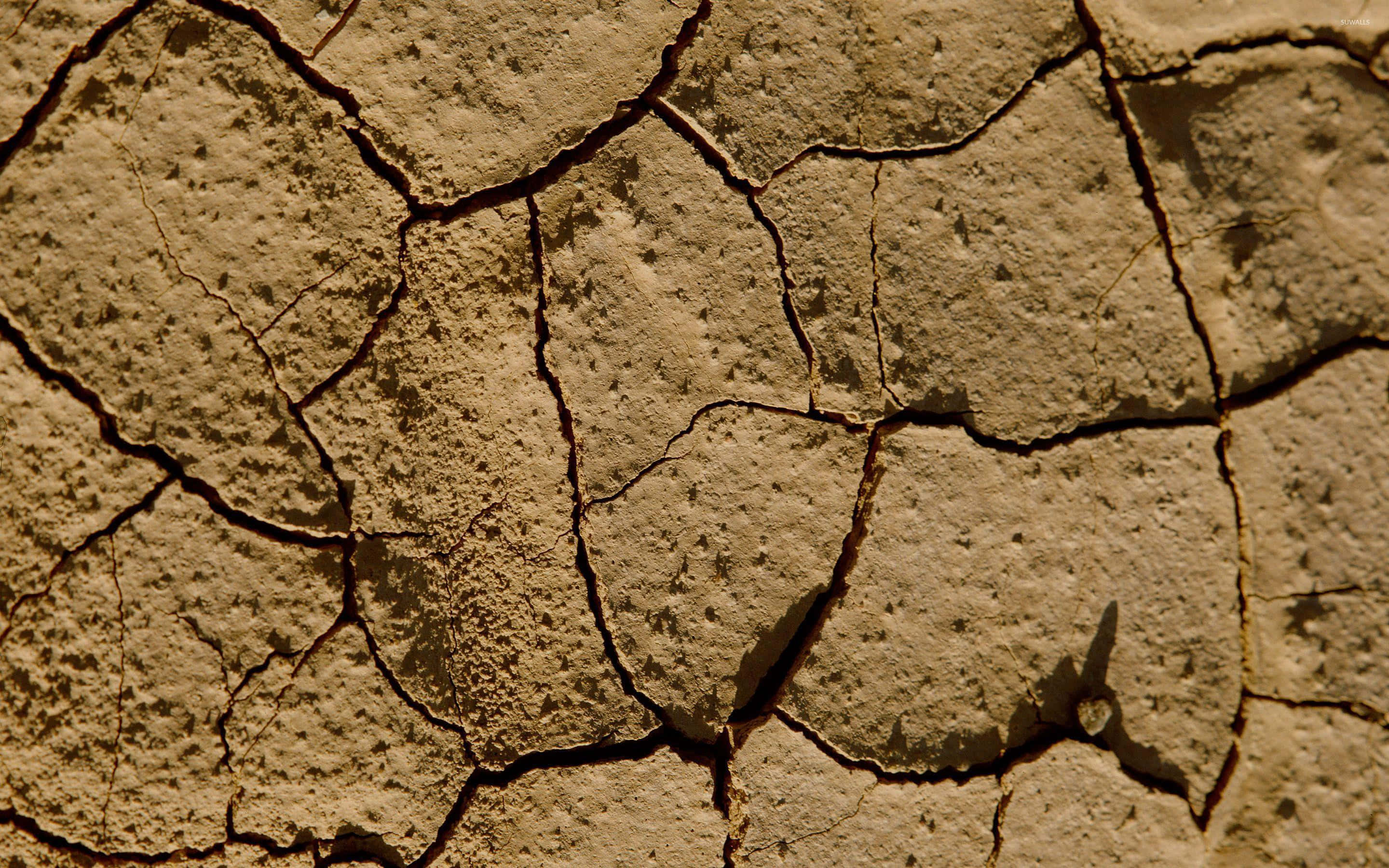 cracked desert dried mud, parched earth, deep cracks, 2K Desktop Wallpaper