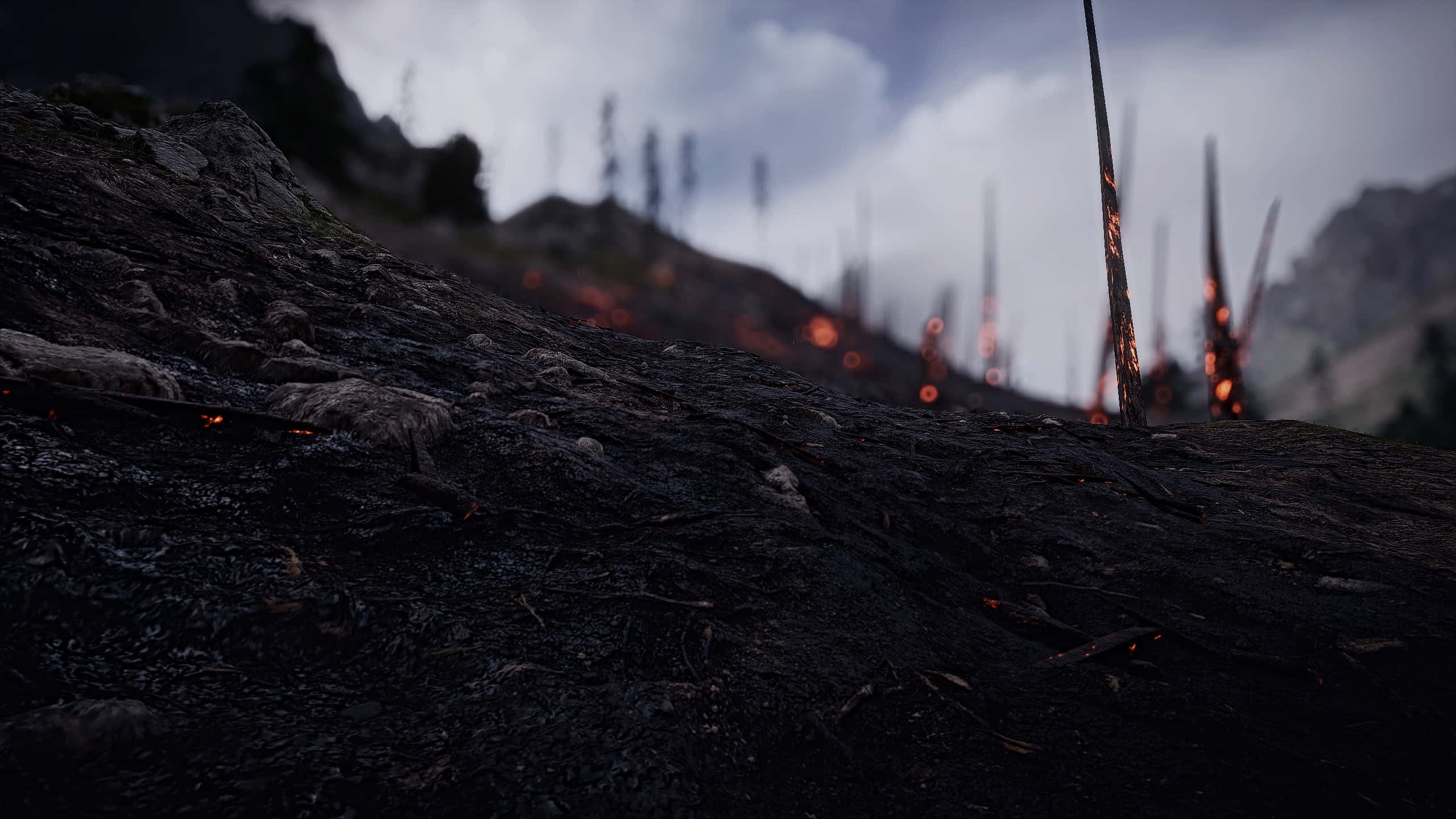 War Zone, dirty mud, soil, 2K Desktop Wallpaper