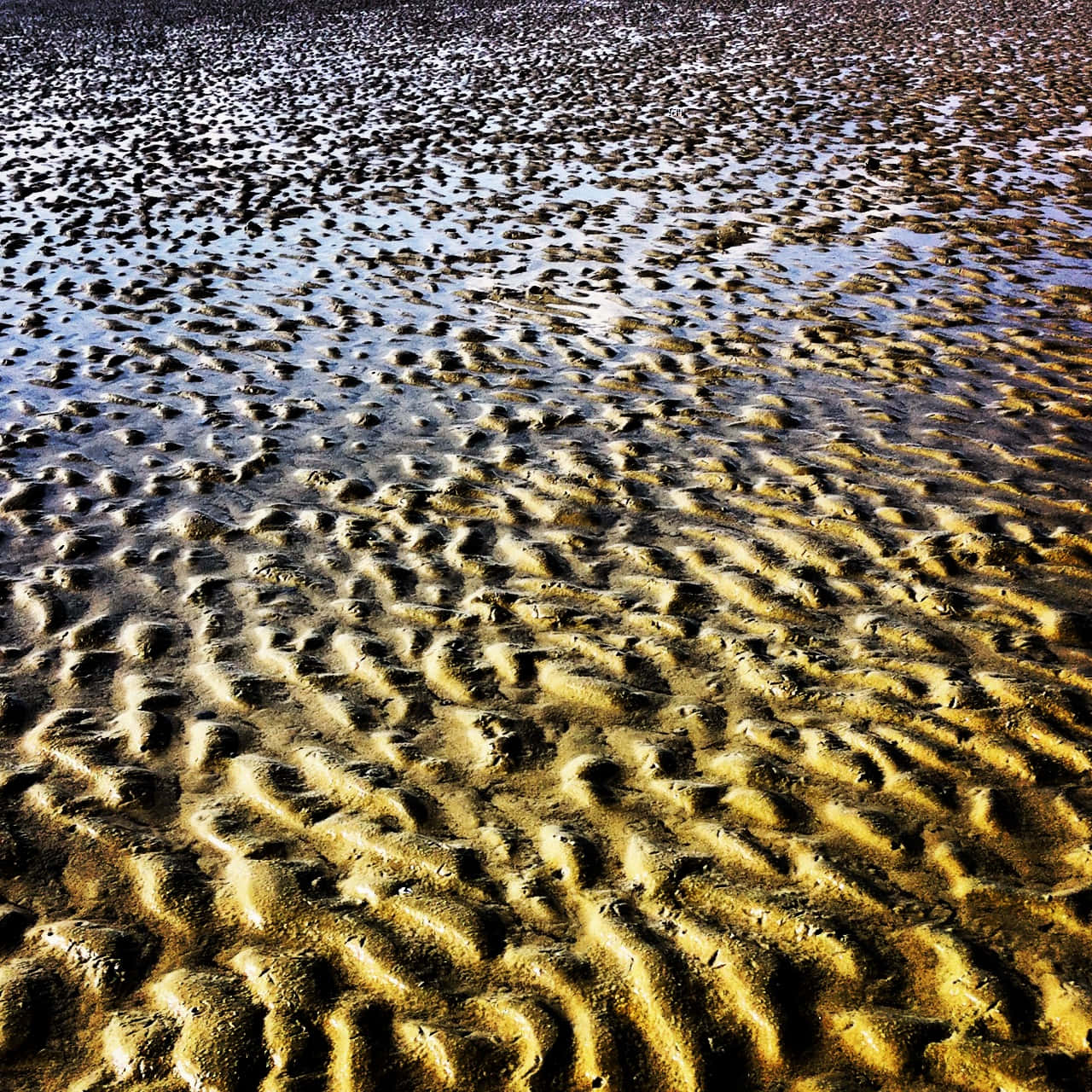 magnanimous mud ripples, sunlit ripples, wet sand, HD Desktop Wallpaper