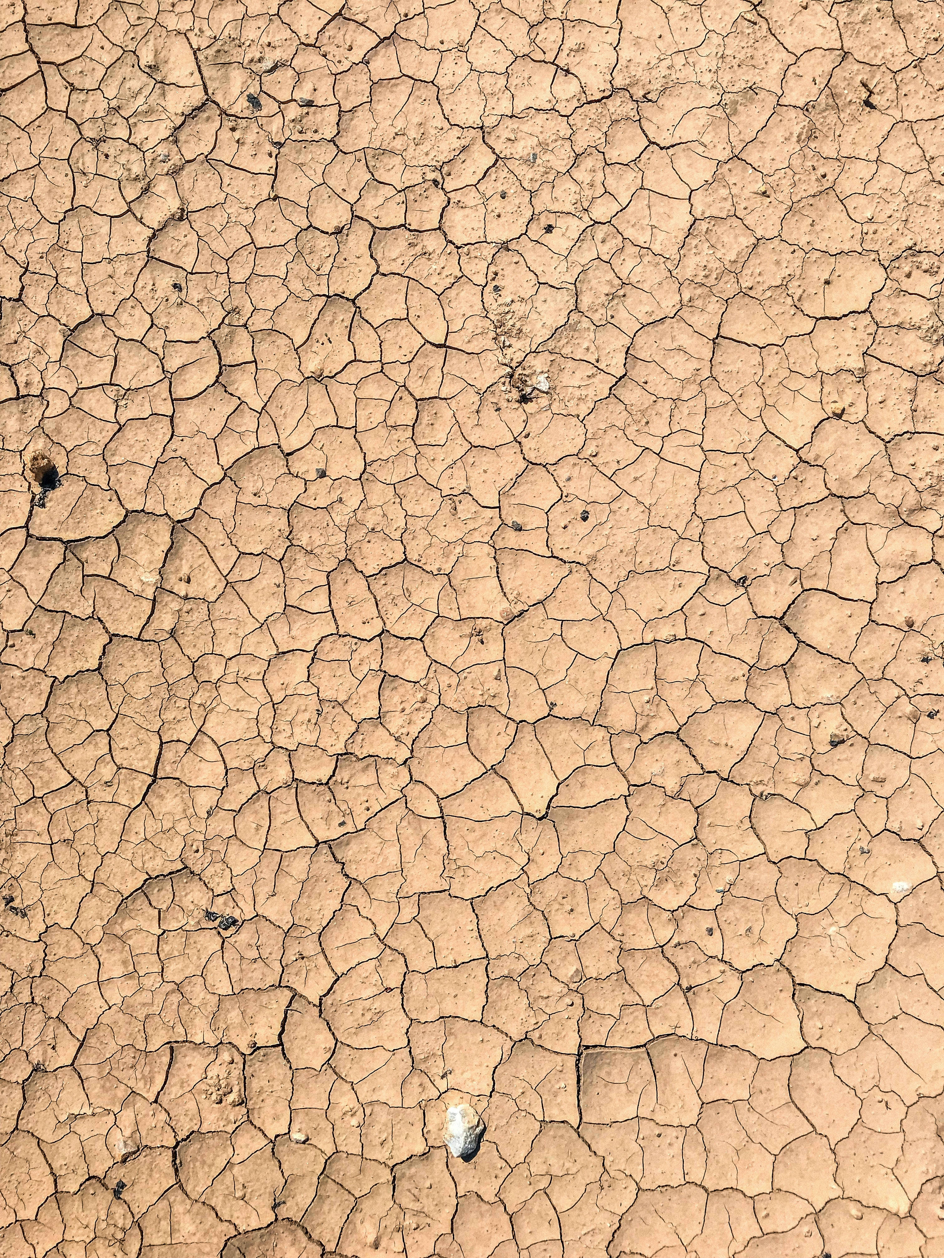 cracked dry mud, parched earth, intricate cracks, 4K Phone Wallpaper