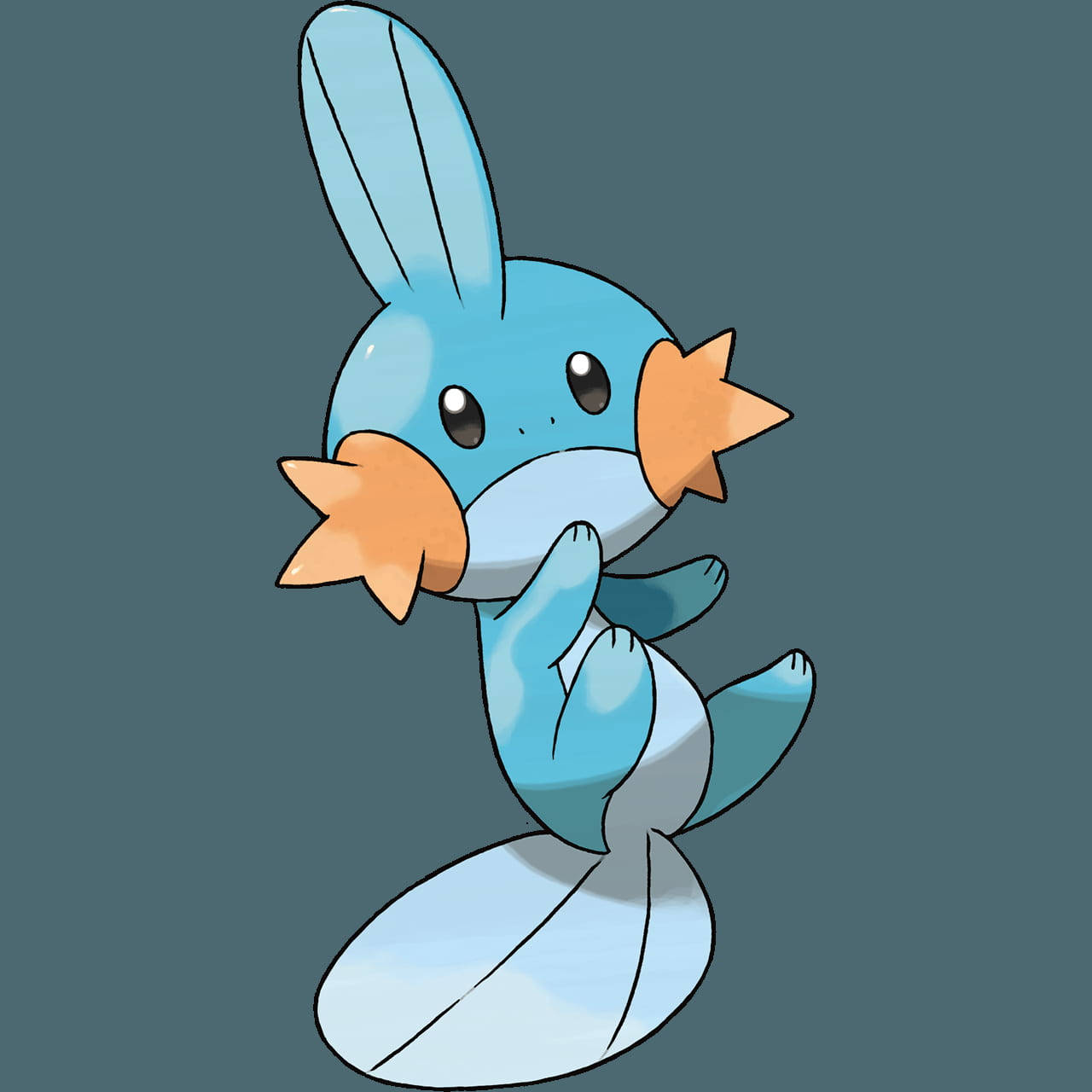 Mudkip, blue and orange, star-shaped cheeks, HD Desktop Wallpaper
