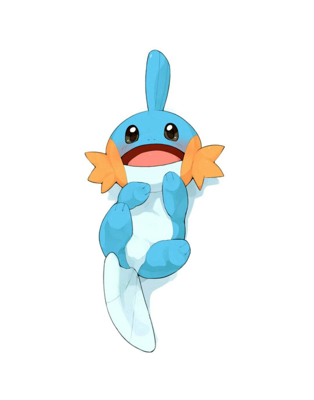 Mudkip, blue and white, orange star-shaped cheeks, HD Phone Wallpaper