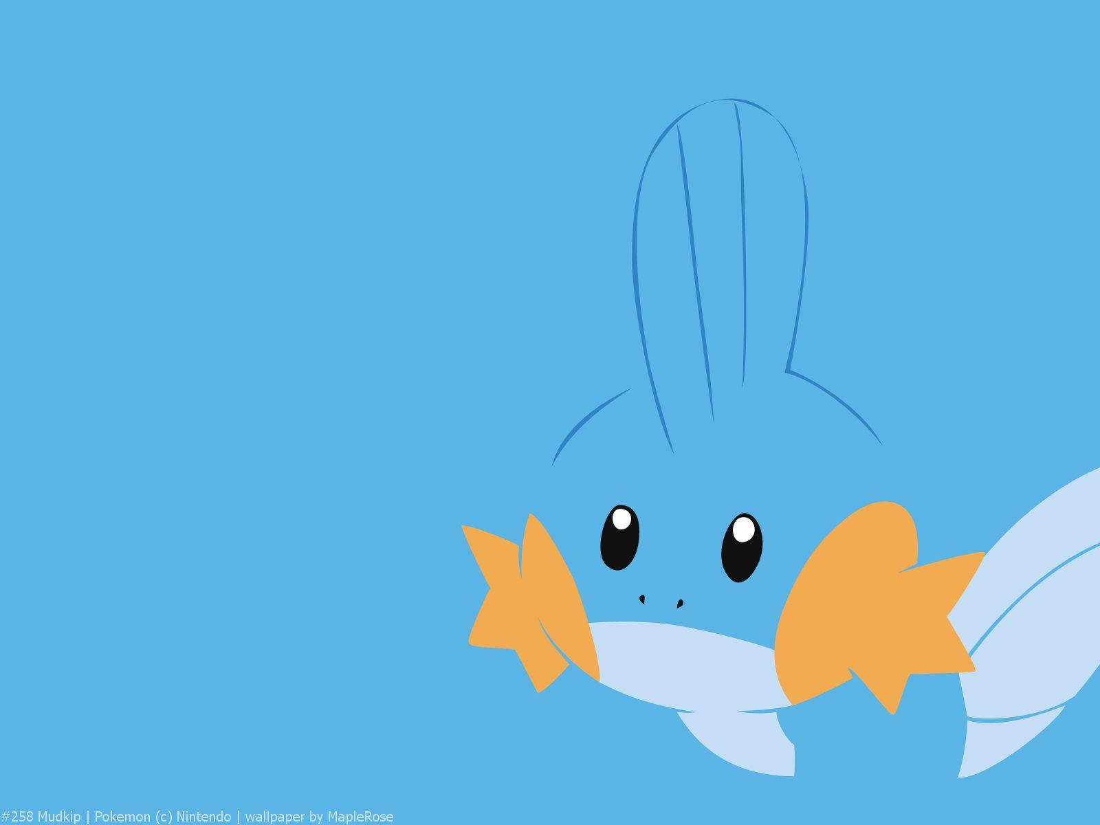 Mudkip, blue, orange fins, HD Desktop Wallpaper