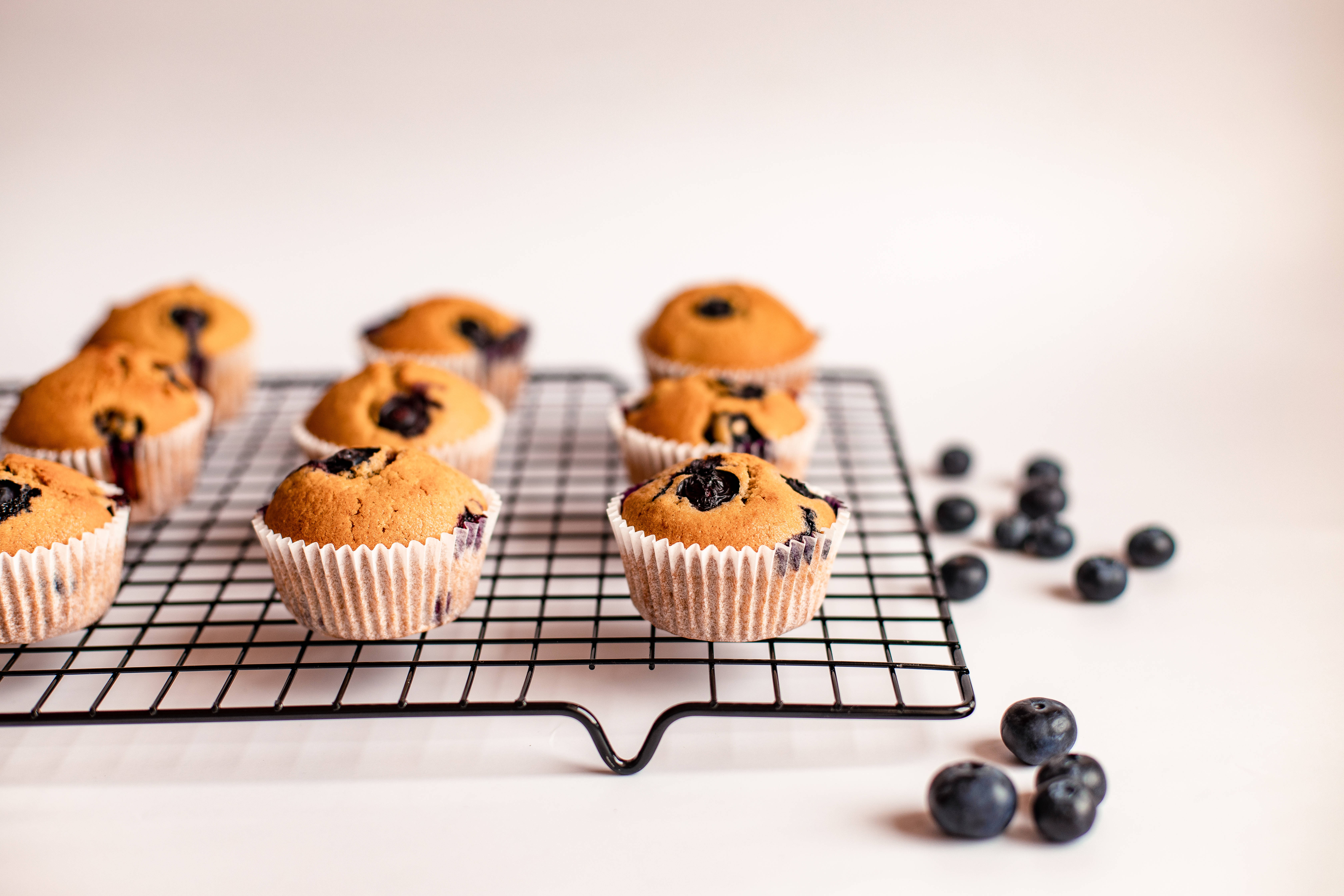 blueberry muffins, black wire rack, bright white surface, 5K Desktop Wallpaper