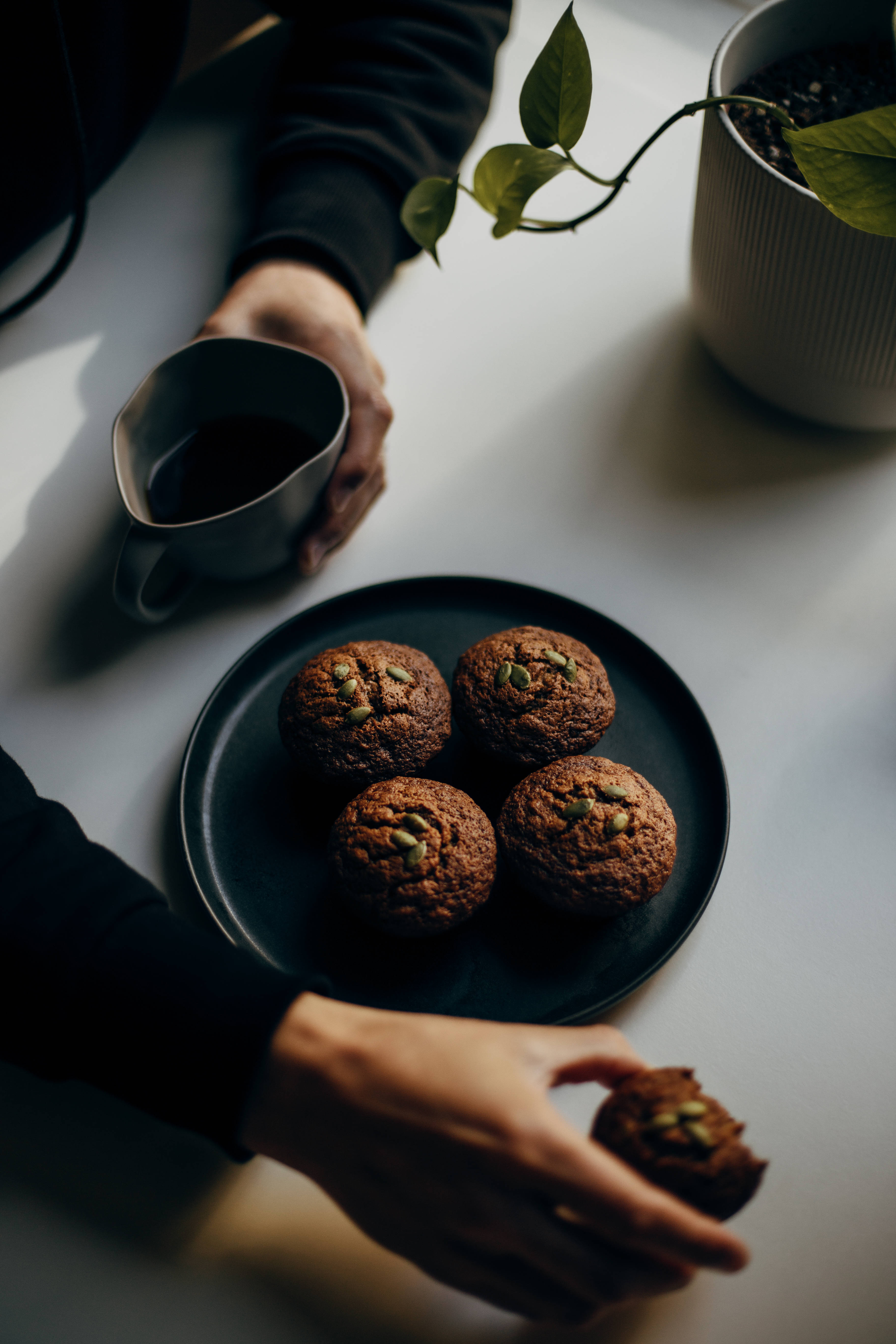 pumpkin seed muffin, dark mug, potted plant, 5K Phone Wallpaper
