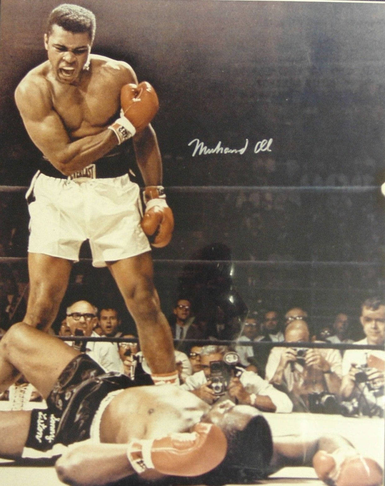 Muhammad Ali, boxing ring, triumphant, HD Phone Wallpaper