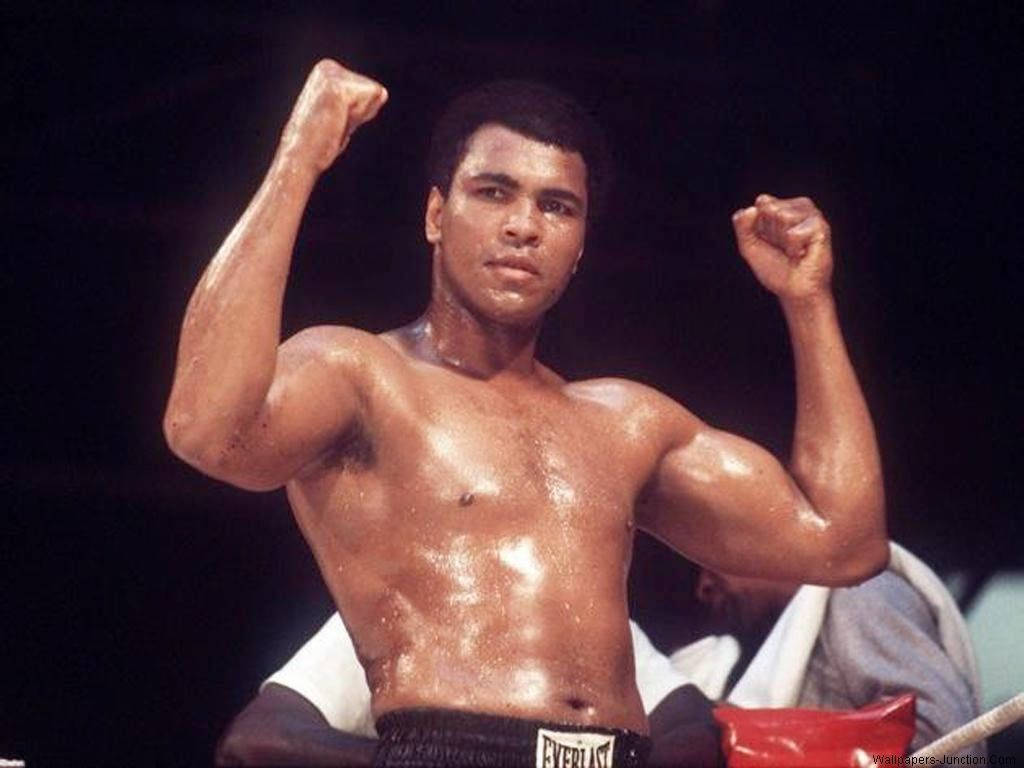Muhammad Ali, ring, fists, SD Desktop Wallpaper