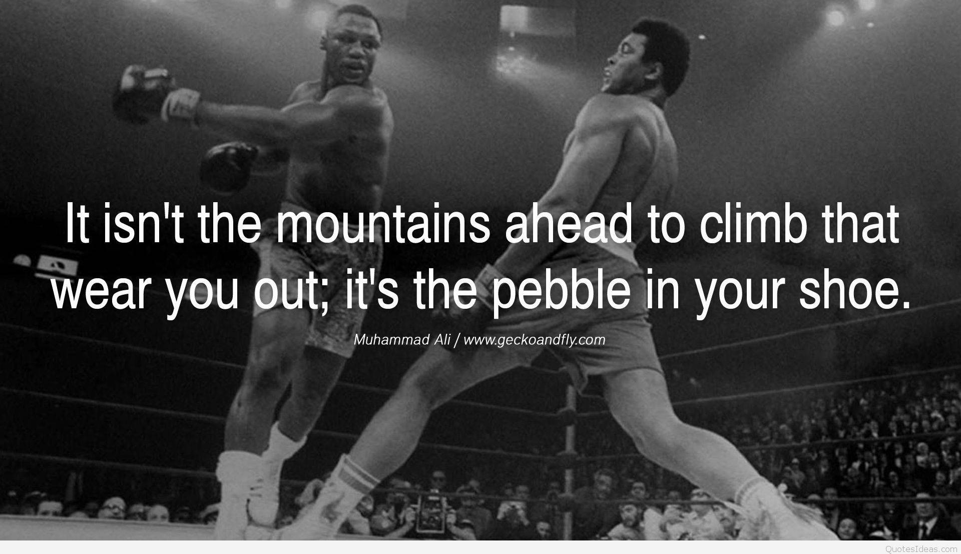 Muhammad Ali, Float like a butterfly, sting like a bee, black and white ring scene, Full HD Desktop Wallpaper
