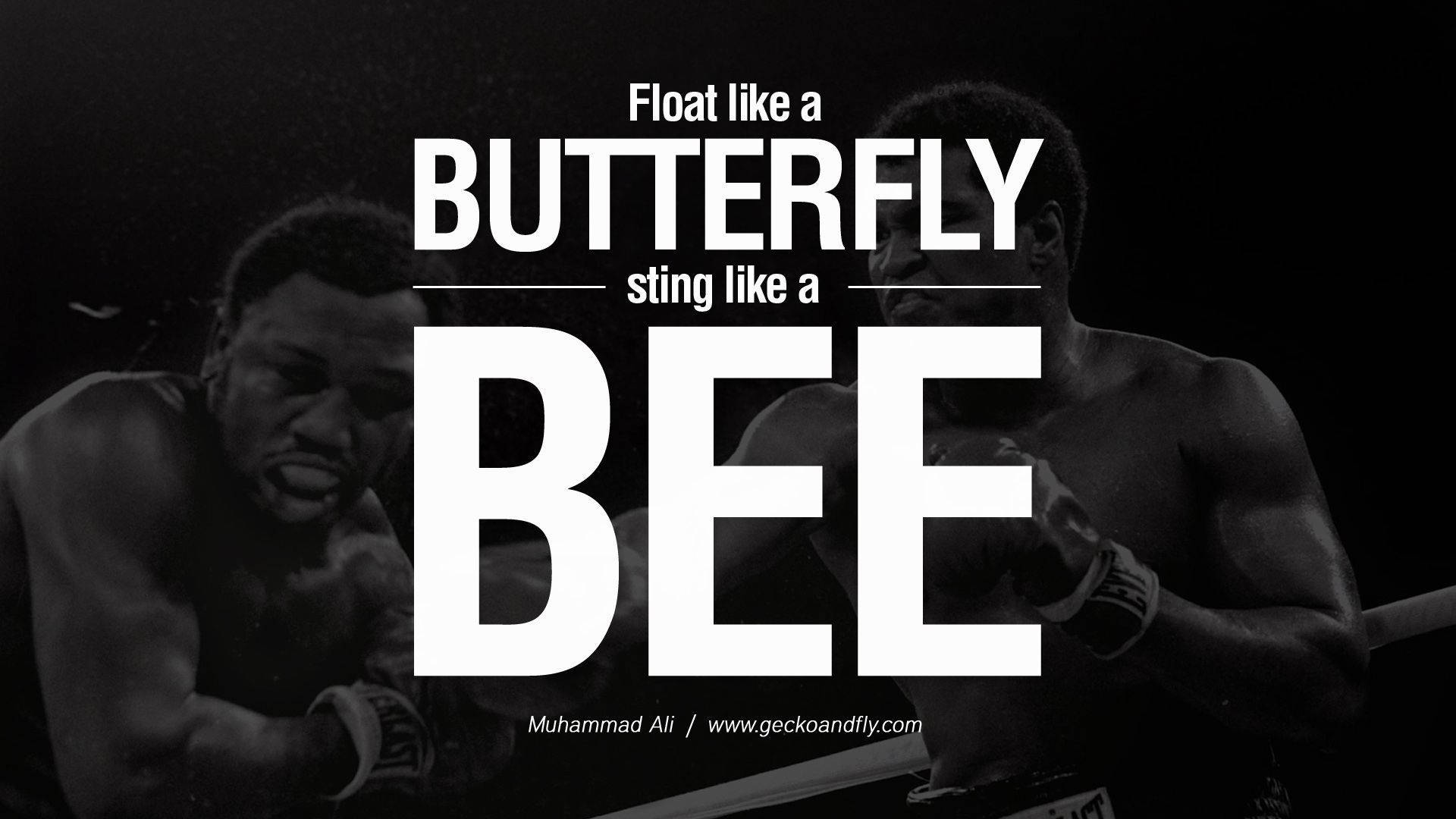 Muhammad Ali, Float like a butterfly, sting like a bee, boxing ring, Full HD Desktop Wallpaper