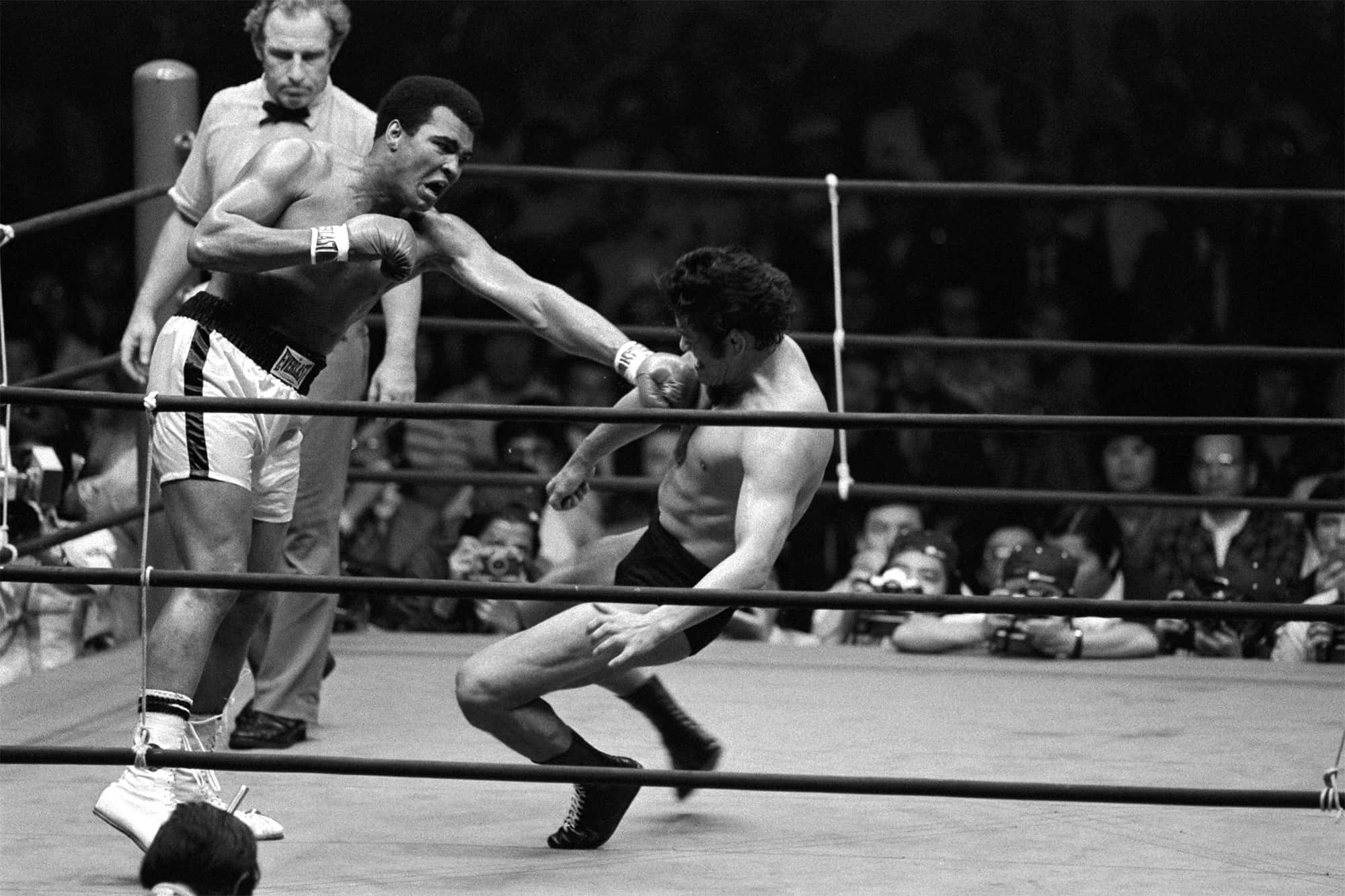Muhammad Ali, boxing ring, referee, Full HD Desktop Wallpaper