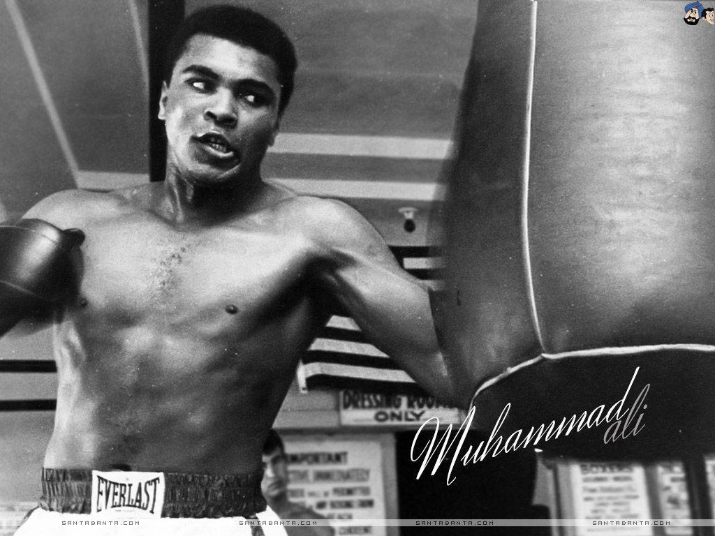 Muhammad Ali, sandbag, boxing gym, SD Desktop Wallpaper