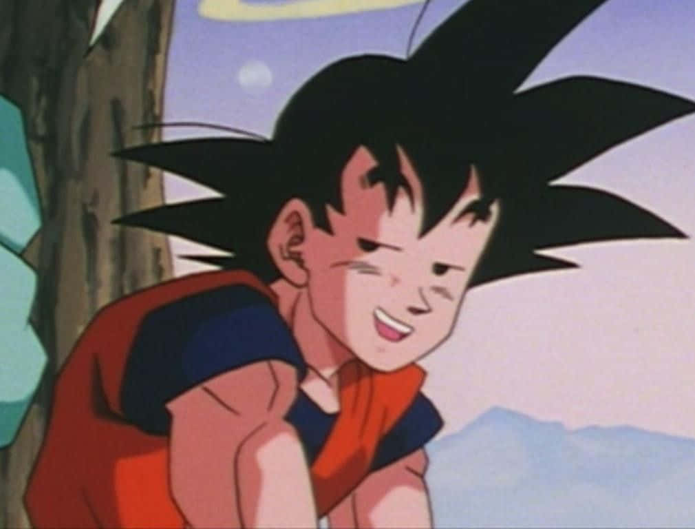 Goku, spiky black hair, orange gi, SD Desktop Wallpaper