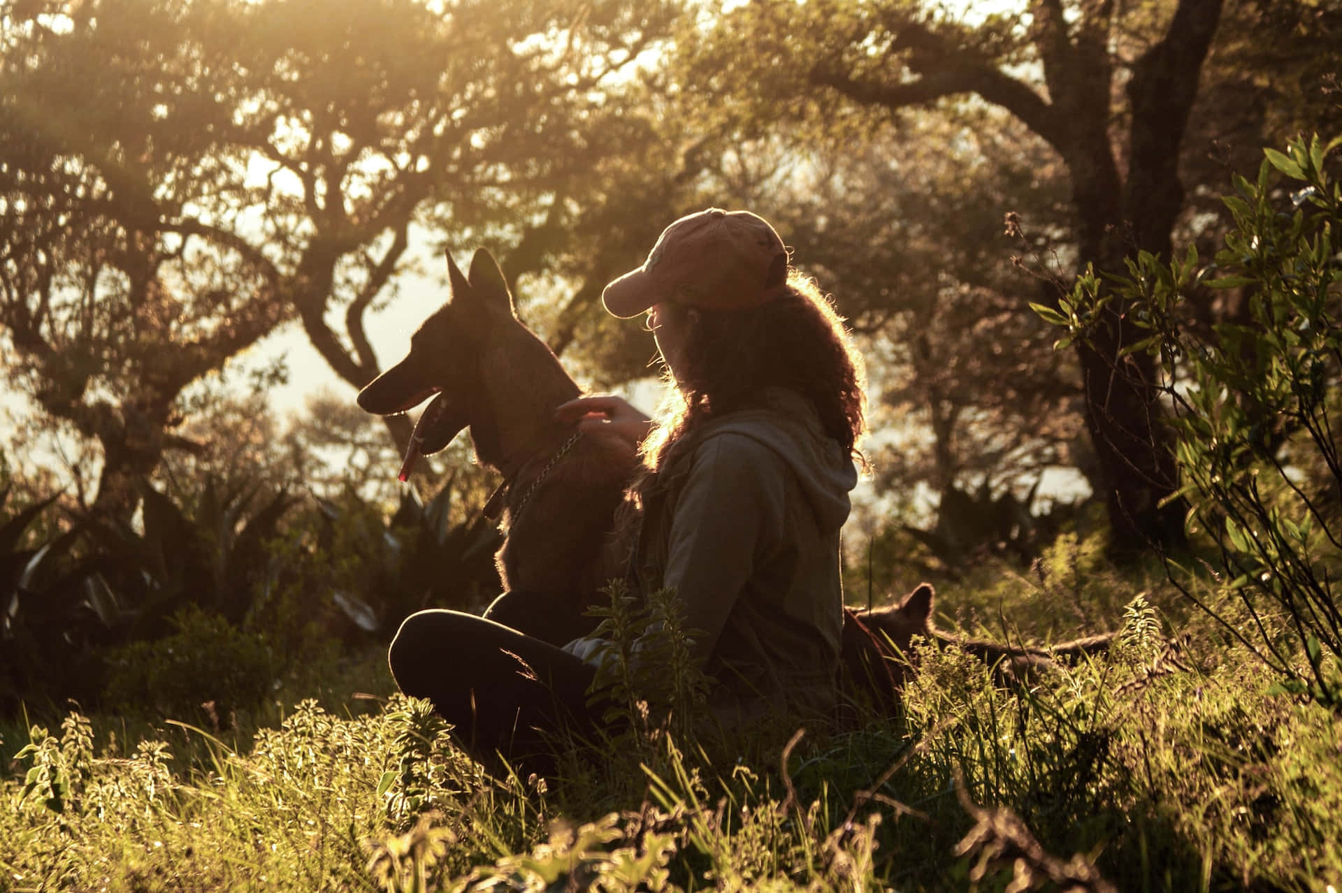 woman, dog, sunset, Full HD Desktop Wallpaper