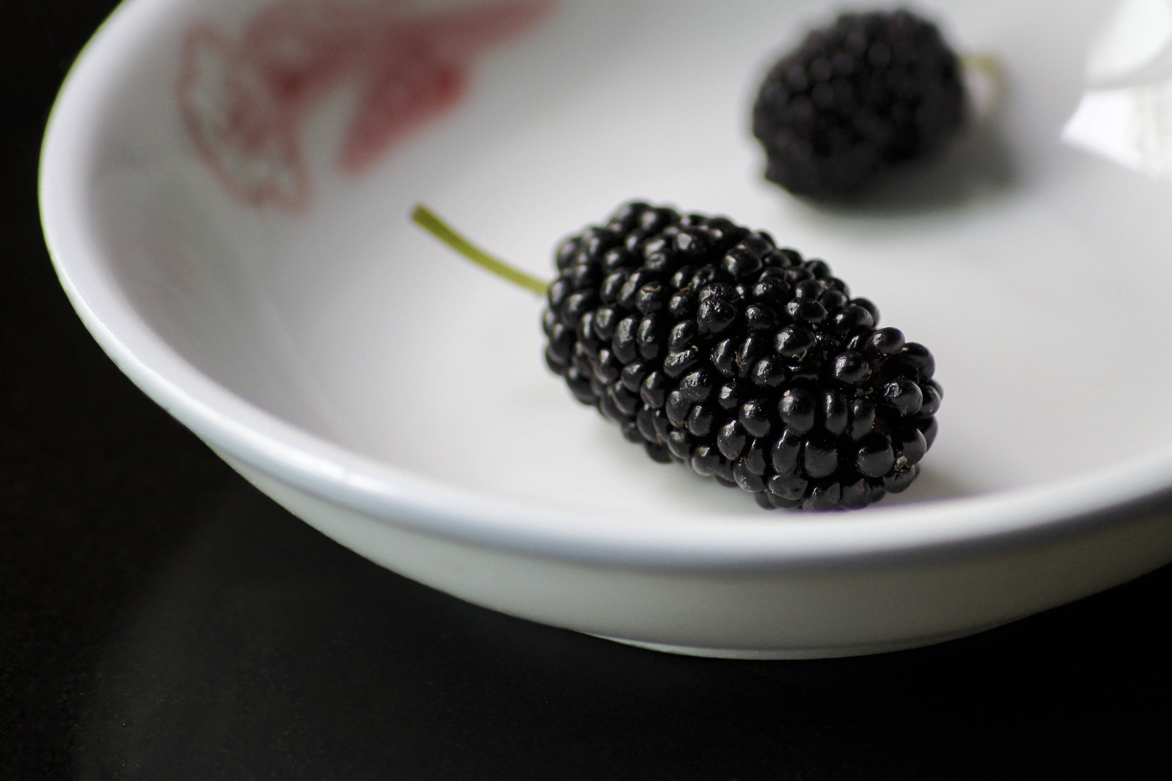 black mulberry, white ceramic bowl, red floral patterns, 4K Desktop Wallpaper
