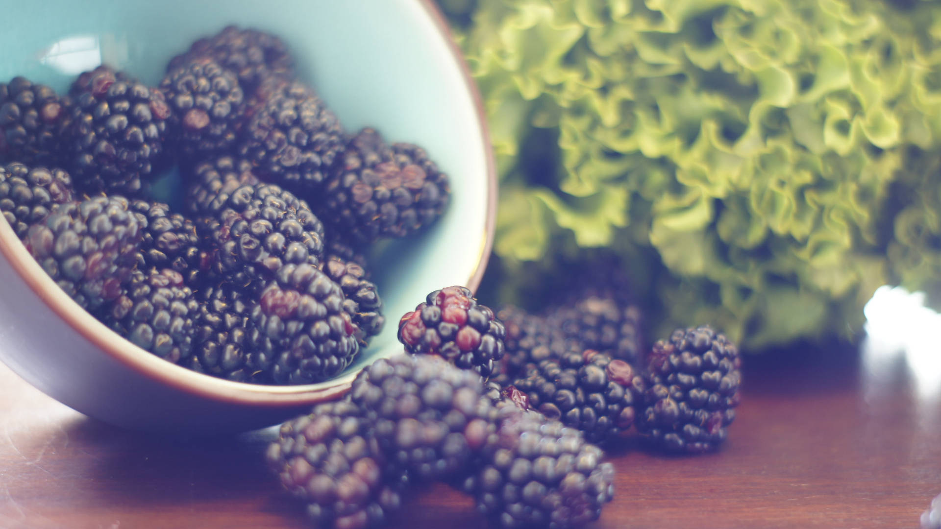 black mulberry fruits, haze effect, shallow bowl, Full HD Desktop Wallpaper