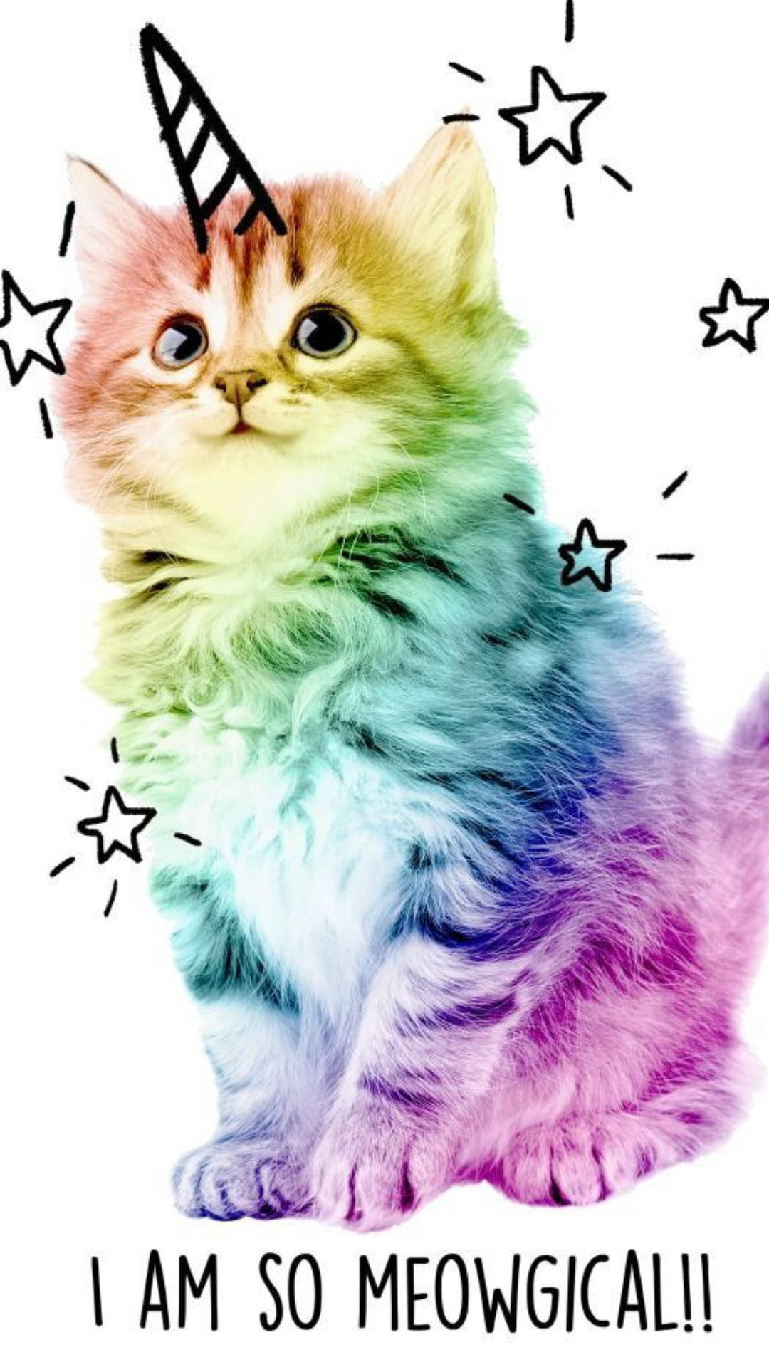 multicolor, cute kitty, rainbow fur, Full HD Phone Wallpaper