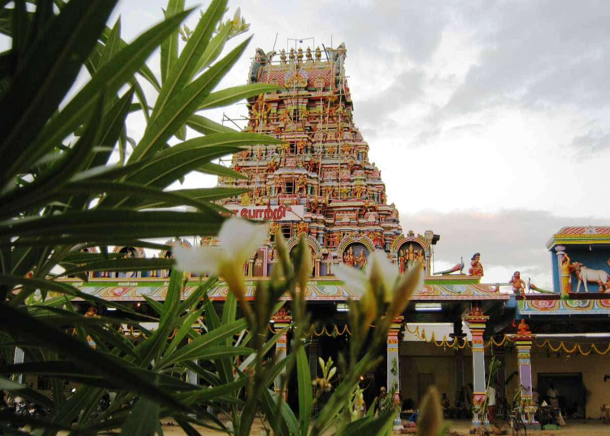 Murugan Temple, Hindu temple tower, lush green foliage, SD Desktop Wallpaper