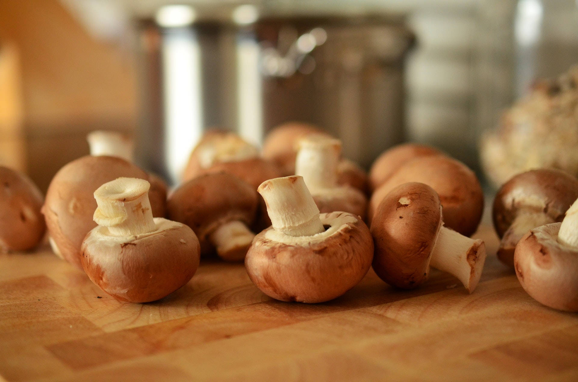 button mushroom, brown mushrooms, white stems, Full HD Desktop Wallpaper