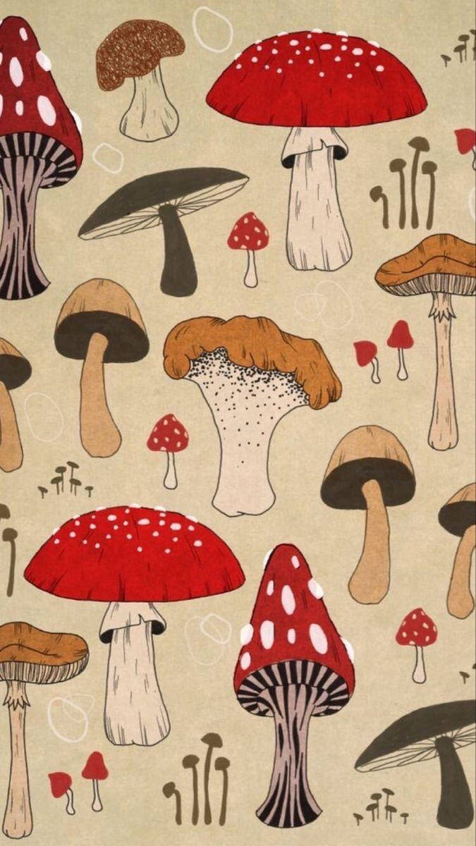 vintage cartoon mushroom aesthetic, red brown, beige, SD Phone Wallpaper