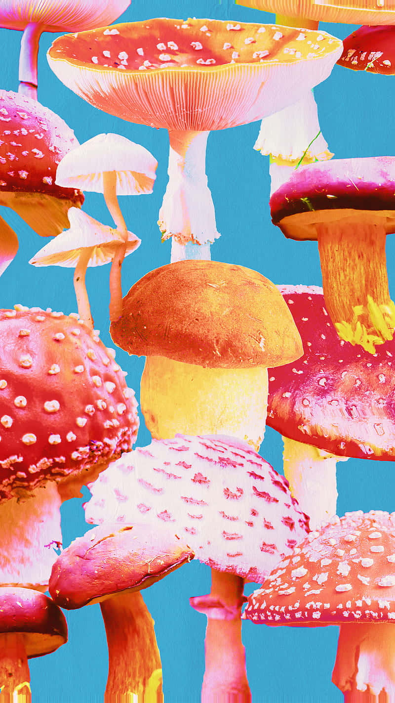 vintage cute mushroom, colorful scrapbook, retro, HD Phone Wallpaper