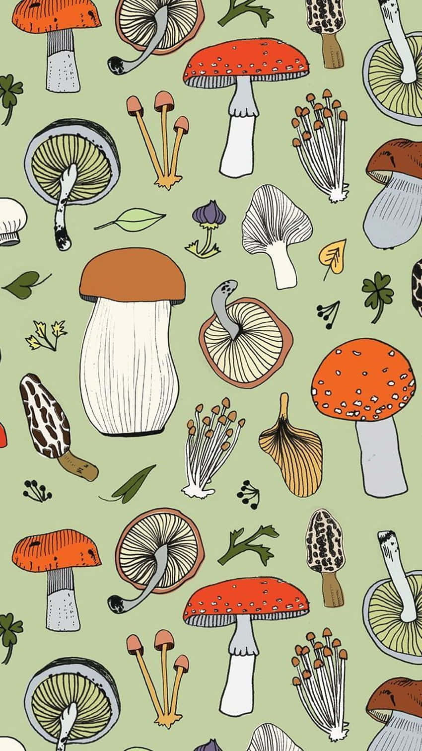 vintage cute mushroom flora mix, sage green, red orange, HD Phone Wallpaper