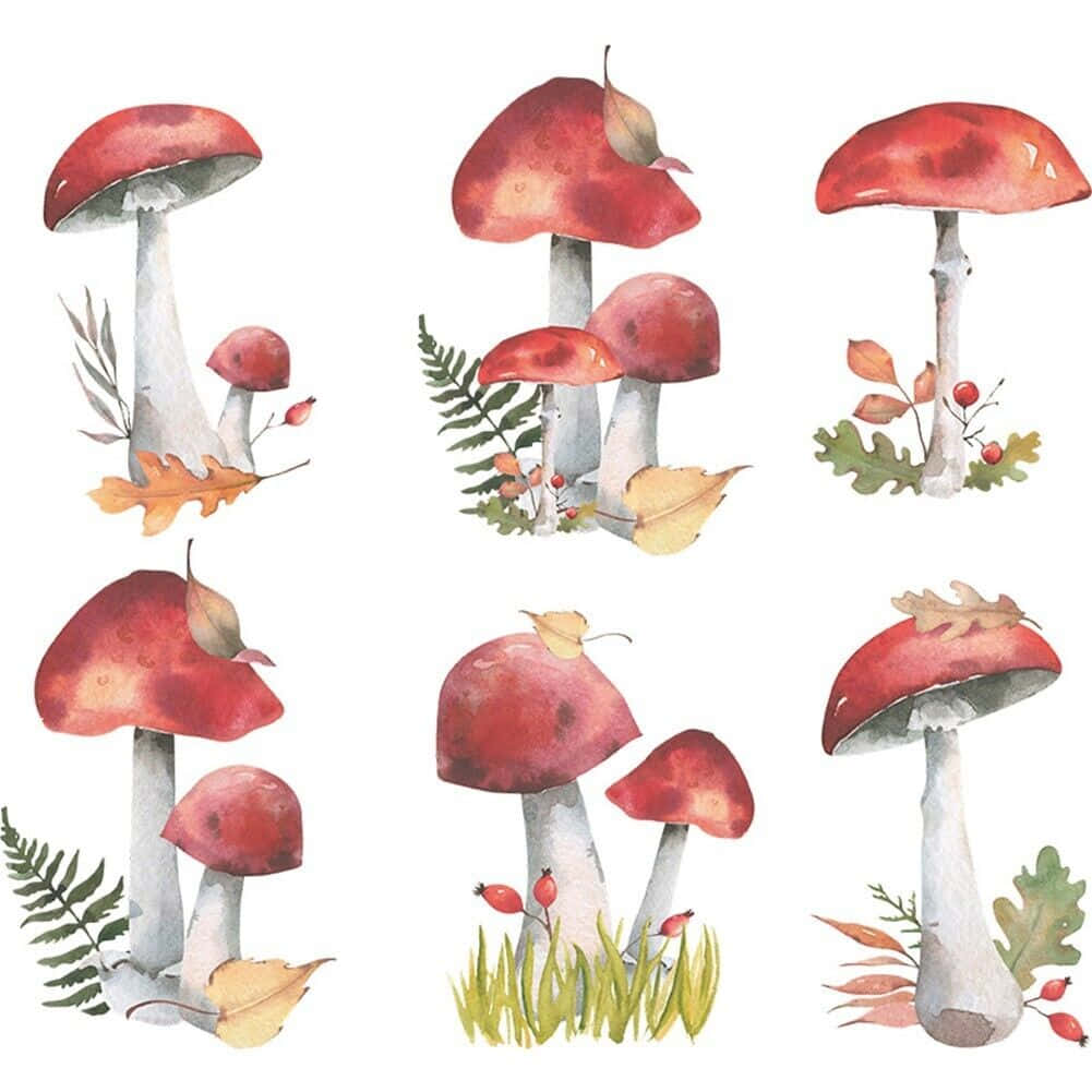 vintage cute mushroom wall sticker decal, red-capped mushrooms, autumn leaves, SD Desktop Wallpaper