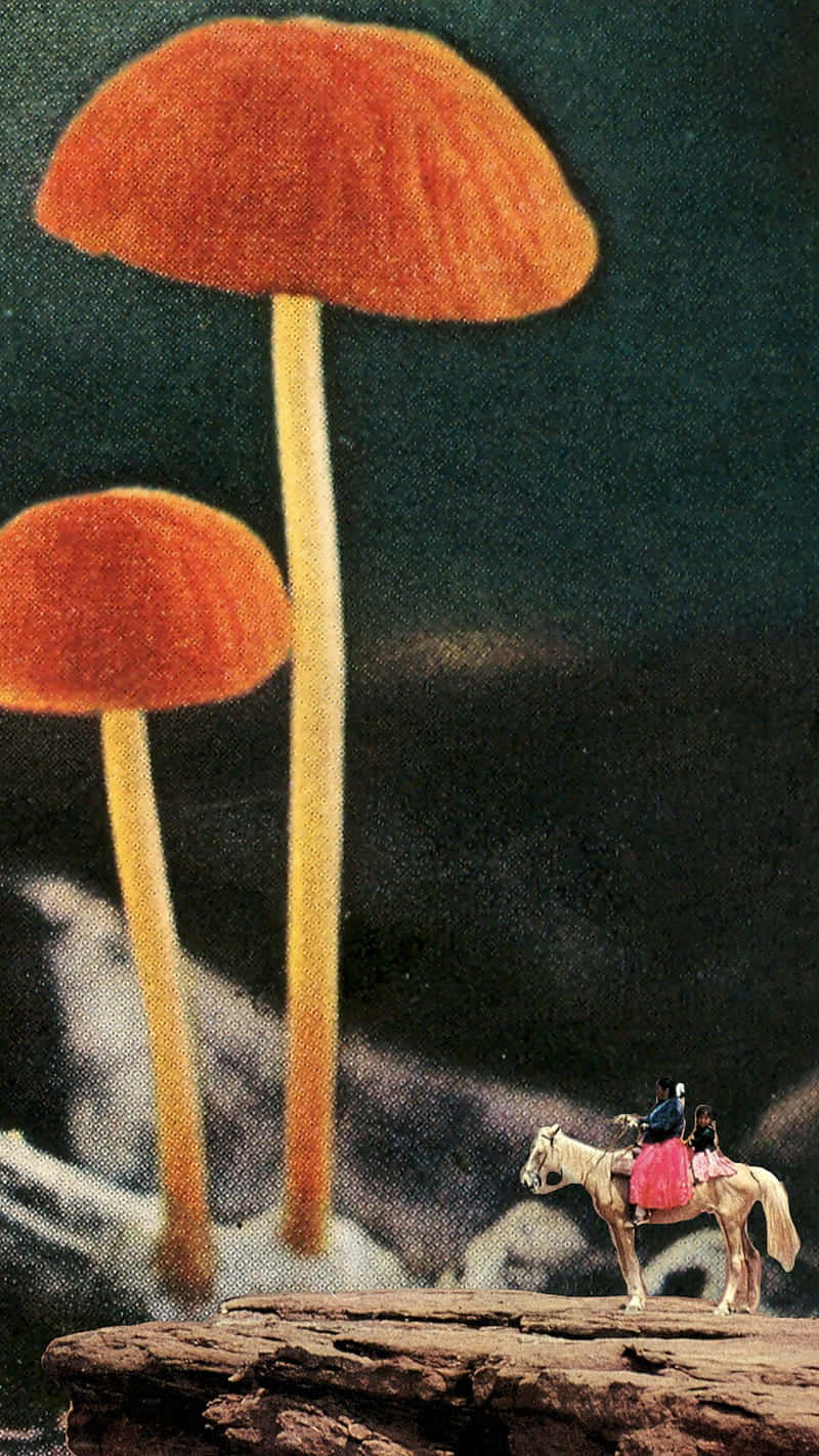 vintage cute mushroom retro horse ride, colossal orange mushrooms, surreal dark forest scene, HD Phone Wallpaper