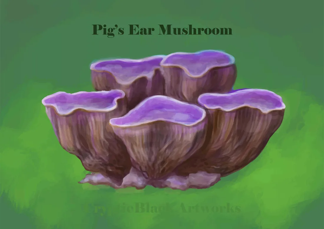 Mushroom Art