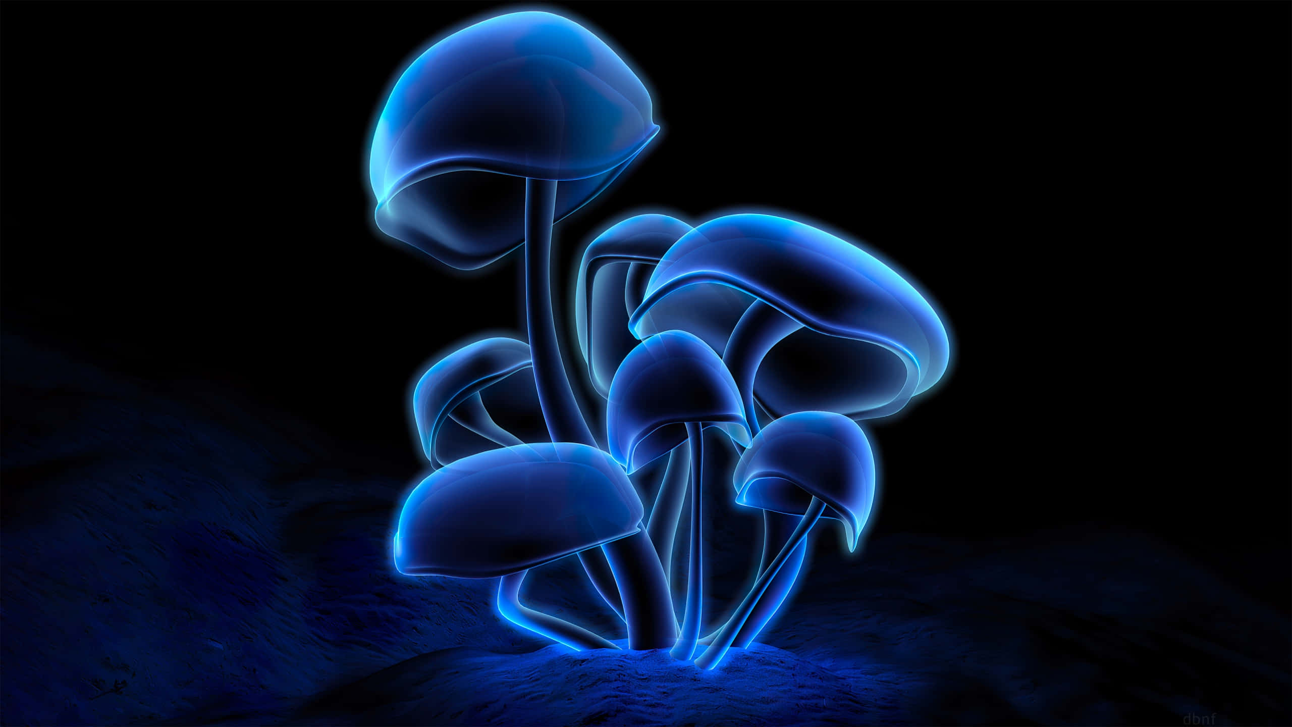 glowing blue mushrooms, neon outlines, dark earth, 2K Desktop Wallpaper