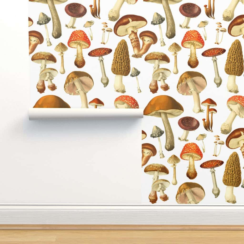 vintage cute mushroom rolled up sticker, wallpaper roll, detailed illustrations of various mushrooms, SD Desktop Wallpaper