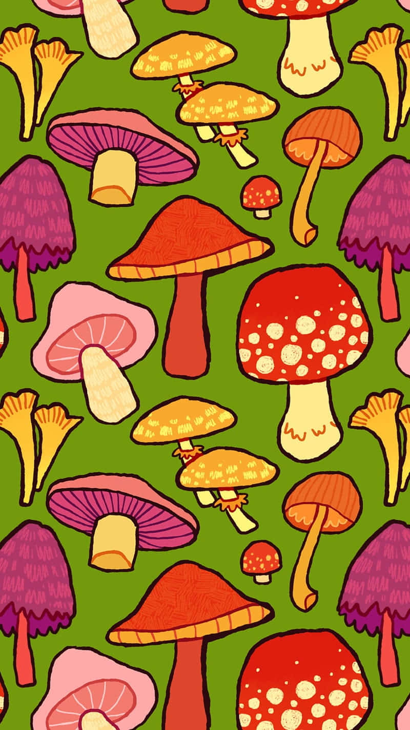 vintage cute mushroom, red pink and orange hues, green background, HD Phone Wallpaper