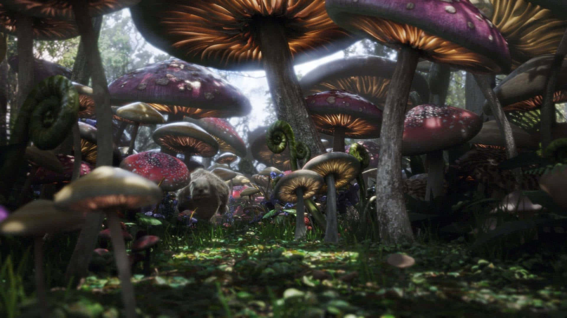 giant fly agaric fungus, mystical forest floor, glowing mushrooms, Full HD Desktop Wallpaper