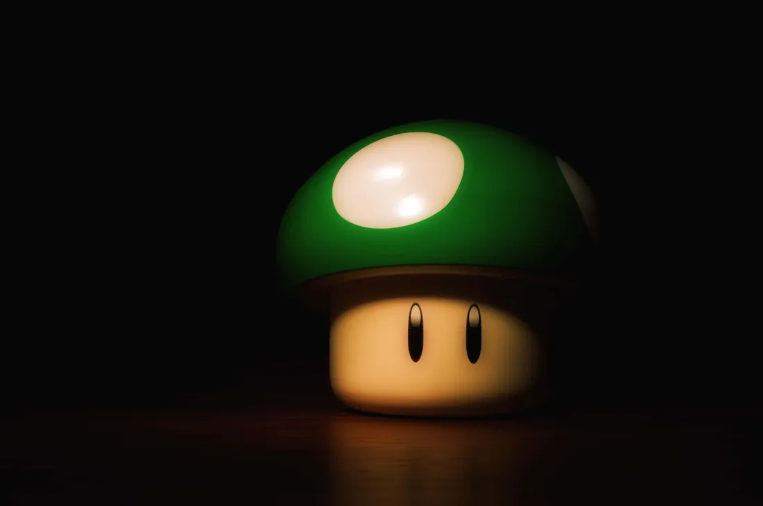 Mushroom Kingdom