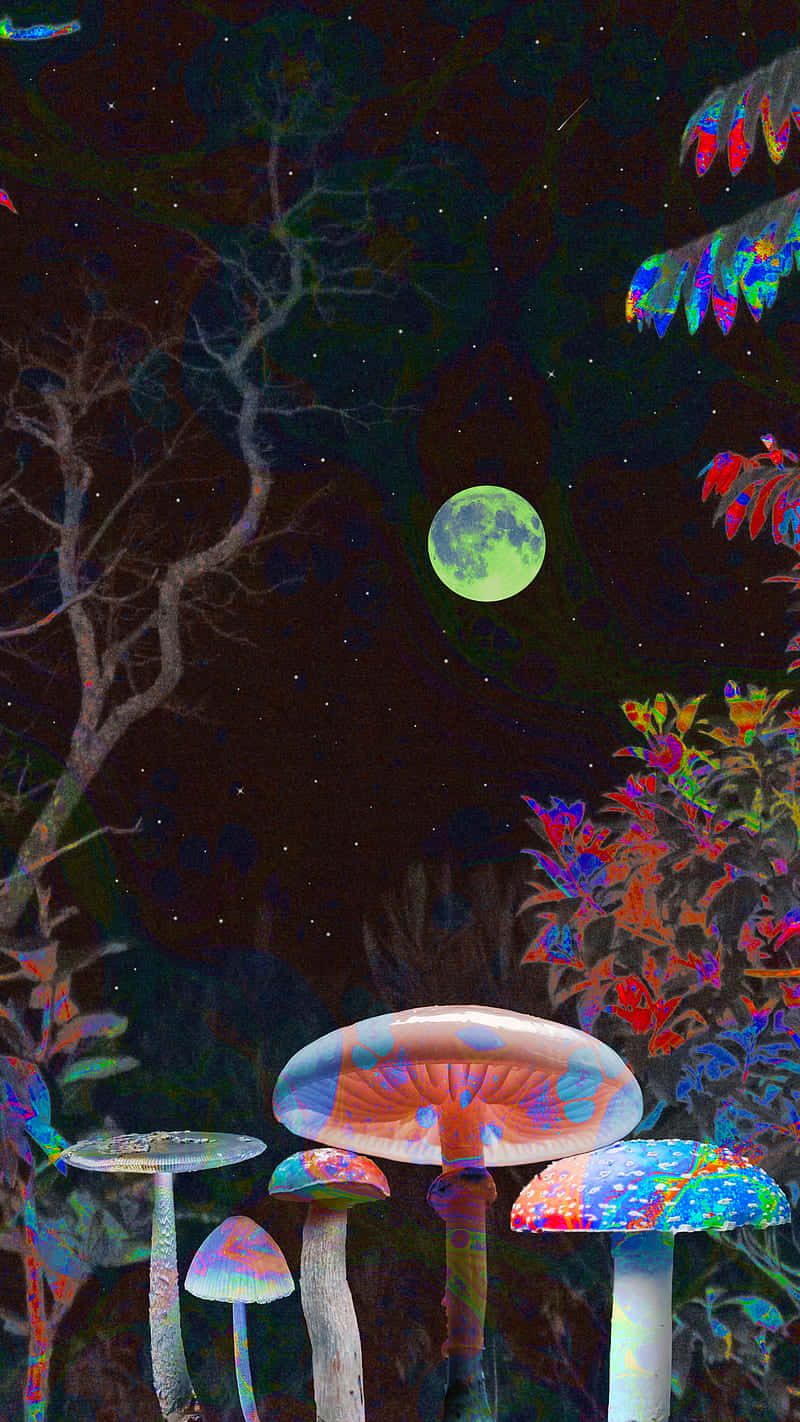 trippy mushrooms, green moon, surreal night forest, HD Phone Wallpaper