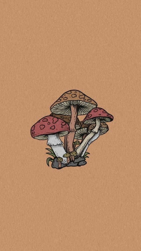 mushroom phone, red spotted mushrooms, white stems, SD Phone Wallpaper