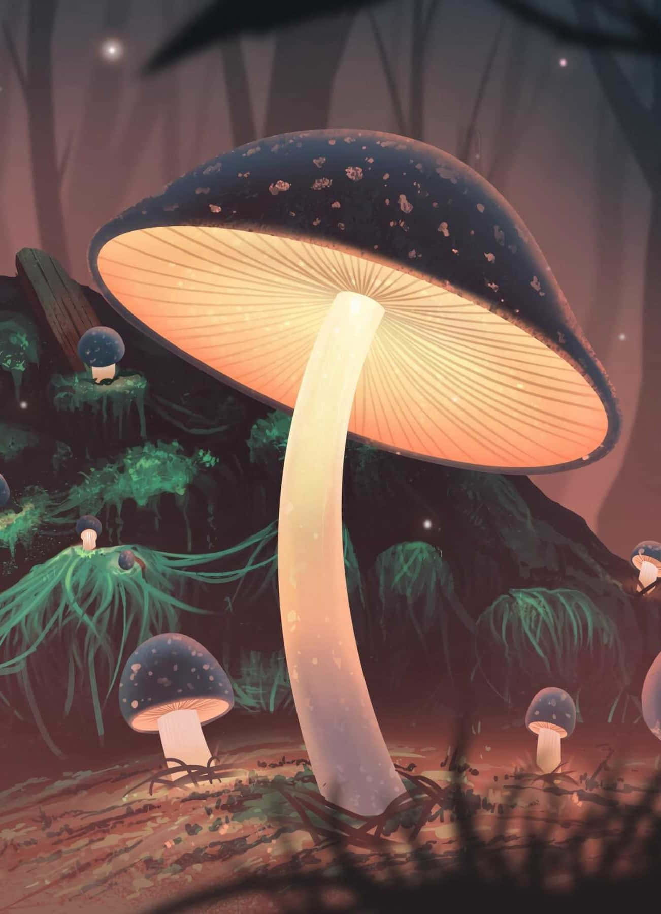 mushroom phone, giant glowing mushroom, warm inner light, HD Phone Wallpaper