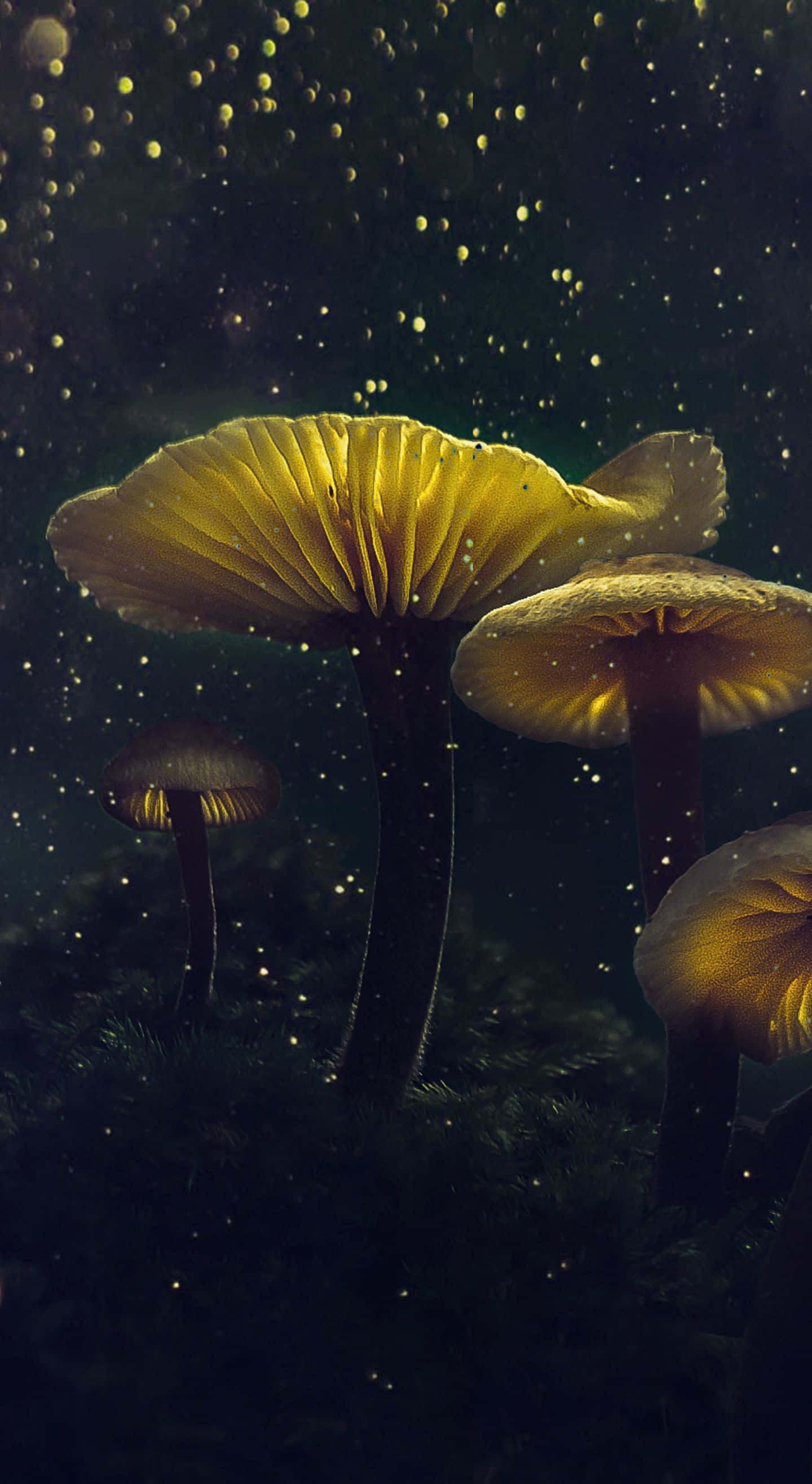 mushroom phone, glowing golden mushrooms, dark moss, 2K Phone Wallpaper