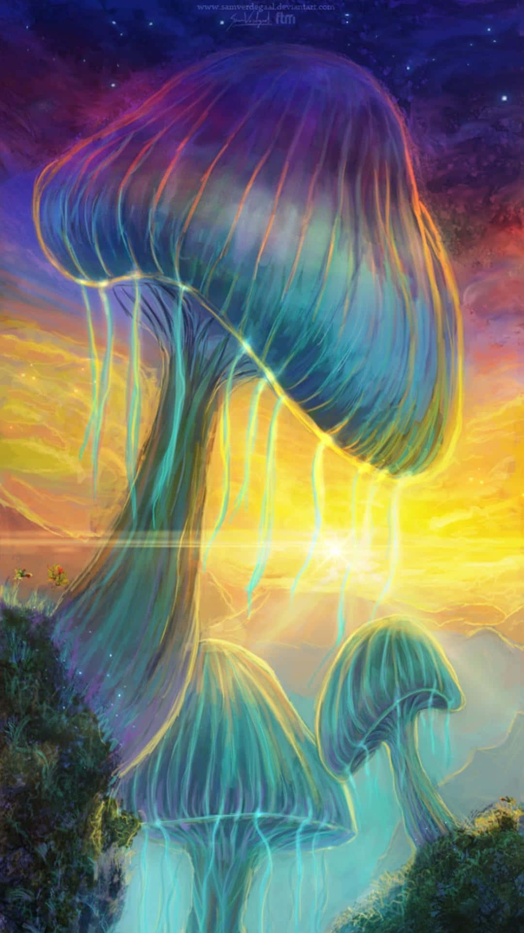 mushroom phone, rainbow, cosmic sunset sky, Full HD Phone Wallpaper
