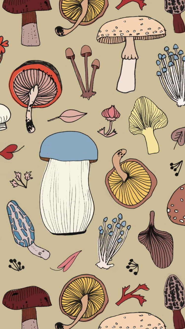 mushroom phone, enchanted forest, whimsical illustrated, HD Phone Wallpaper