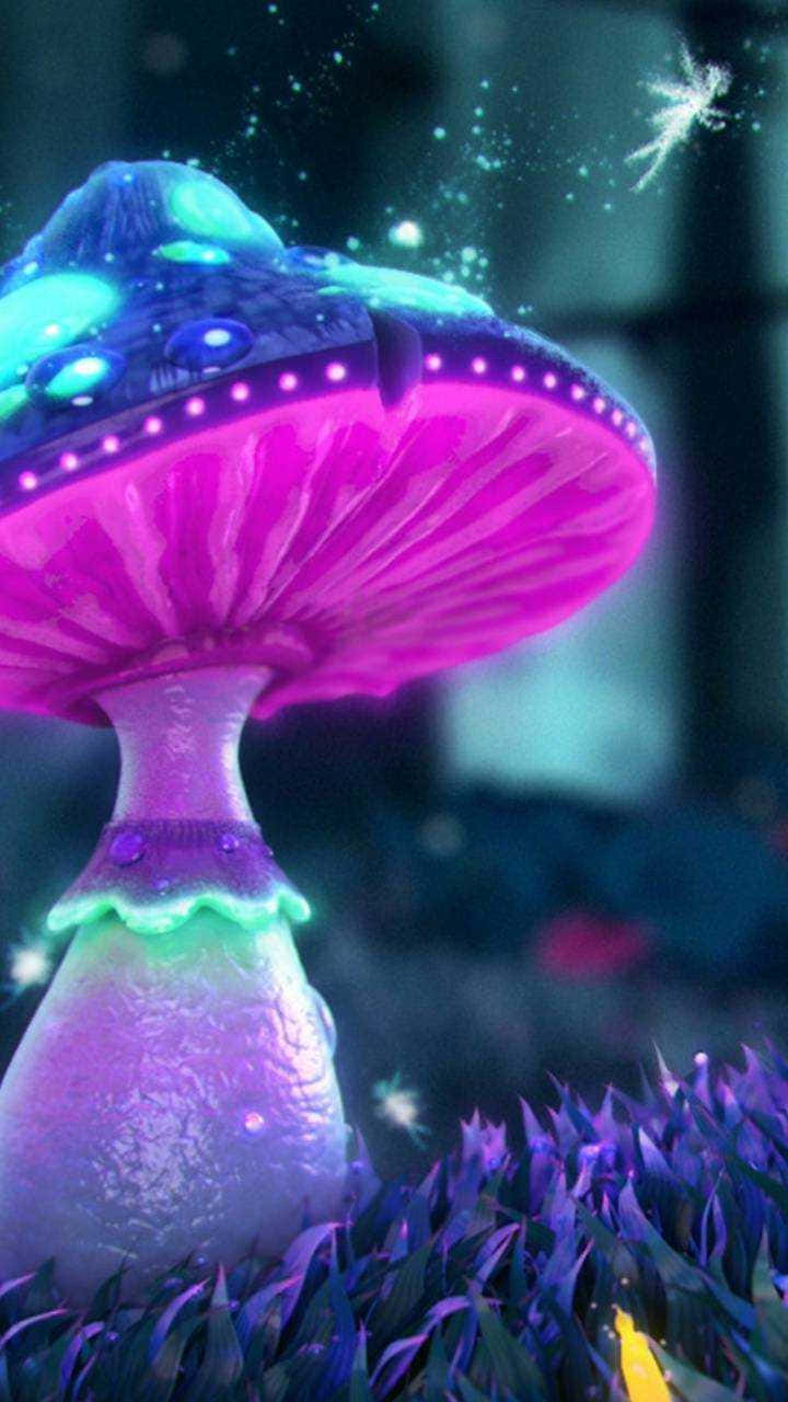 mushroom phone, glowing purple mushroom, blue lights, HD Phone Wallpaper