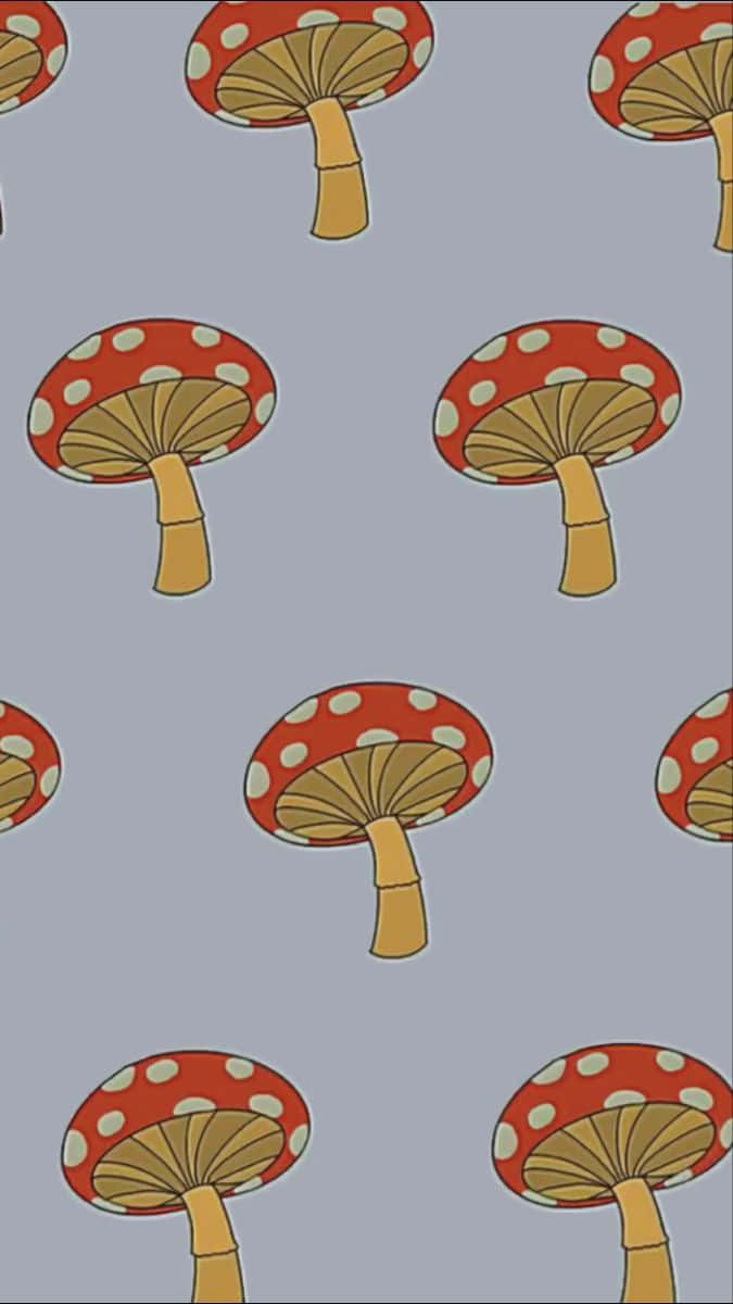 mushroom phone, red and white spotted mushrooms, tan stems, SD Phone Wallpaper