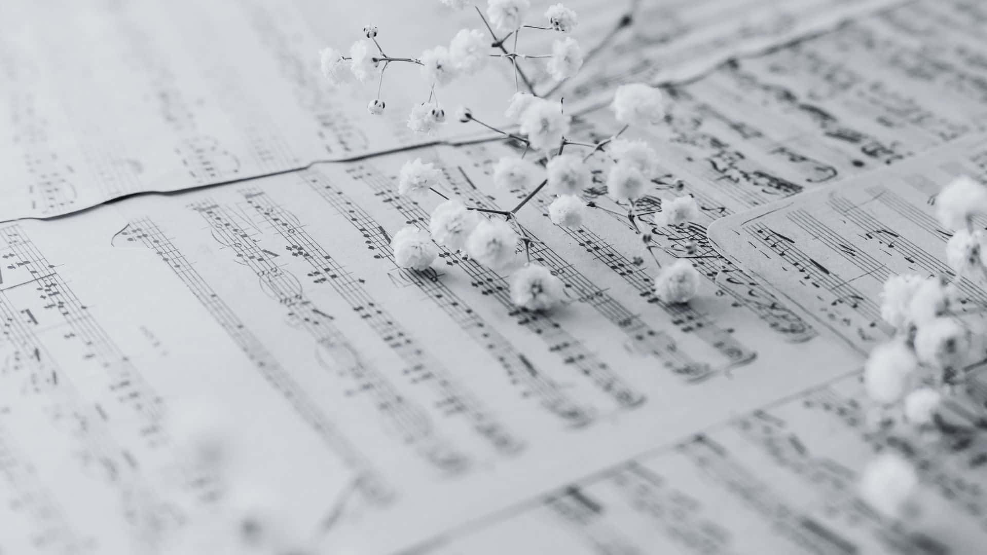 baby's breath flowers, vintage sheet music, monochrome tones, Full HD Desktop Wallpaper