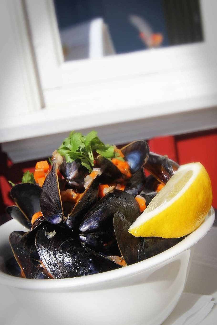 white bowl, steamed mussels, rich sauce, HD Phone Wallpaper