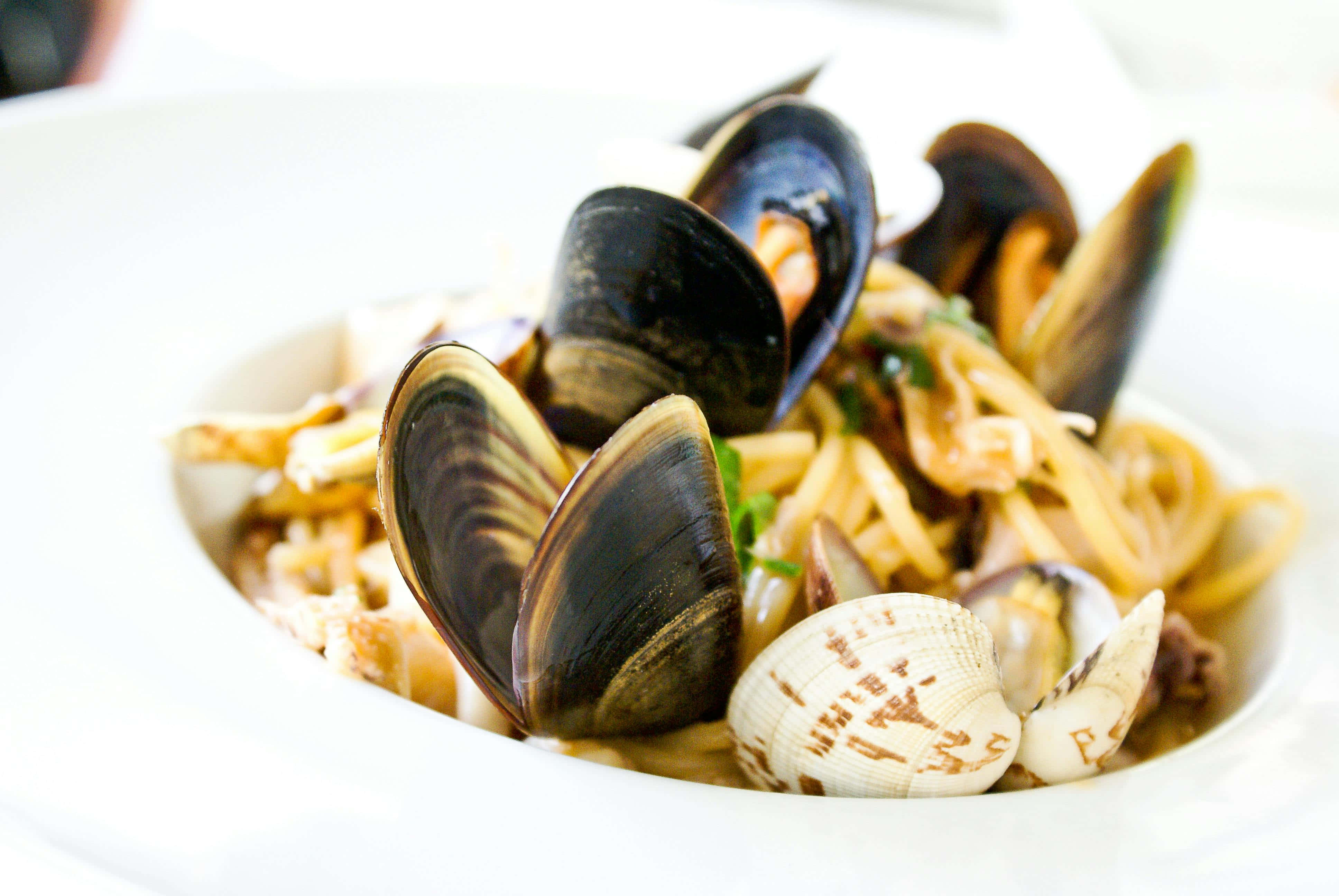 seafood pasta dish, mussels, white bowl, 4K Desktop Wallpaper