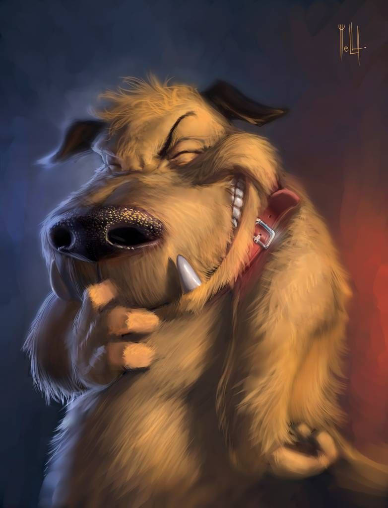 Muttley, fluffy dog, red collar, SD Phone Wallpaper