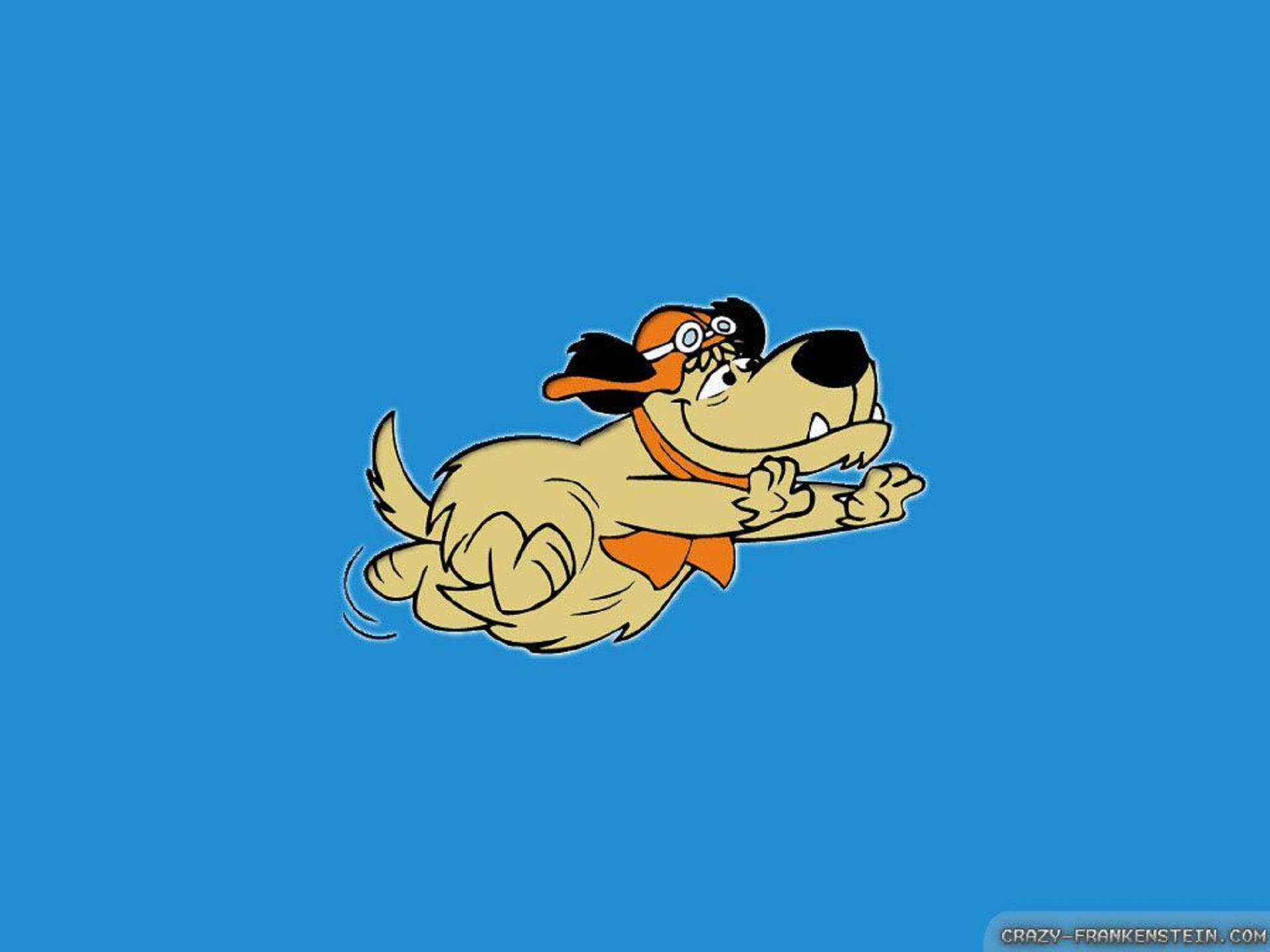Muttley, orange pilot helmet, goggles, Full HD Desktop Wallpaper