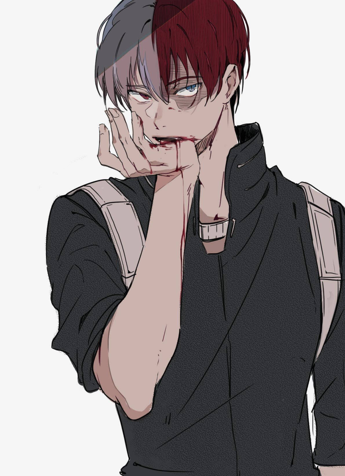 My Hero Academia, Todoroki, half-red half-gray hair, HD Phone Wallpaper