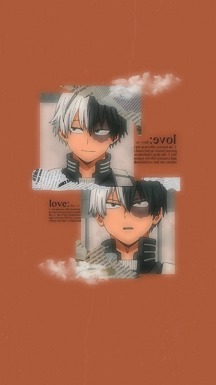 My Hero Academia, Todoroki, half black half white hair, HD Phone Wallpaper