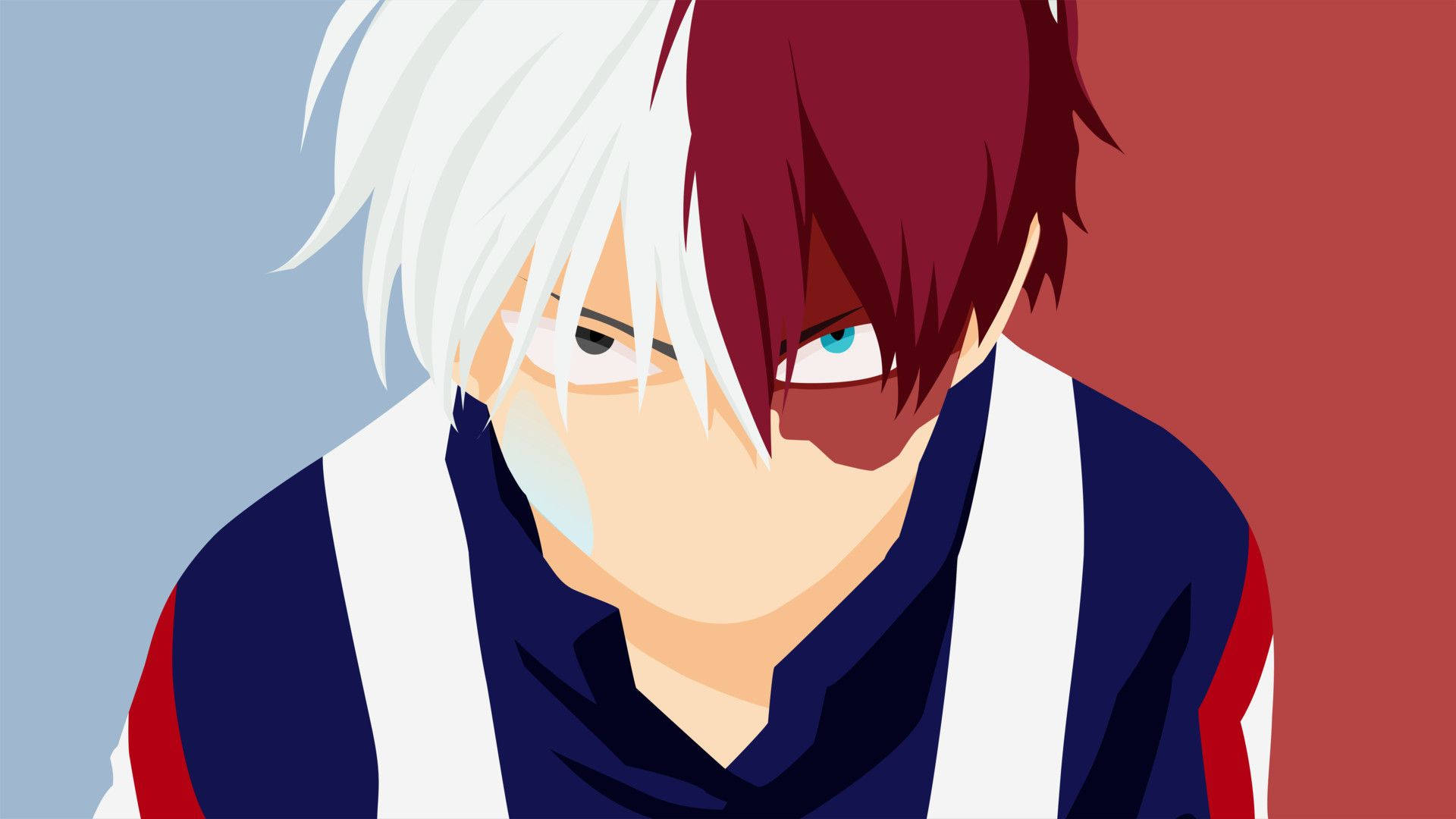 My Hero Academia, Todoroki, half white half red hair, Full HD Desktop Wallpaper