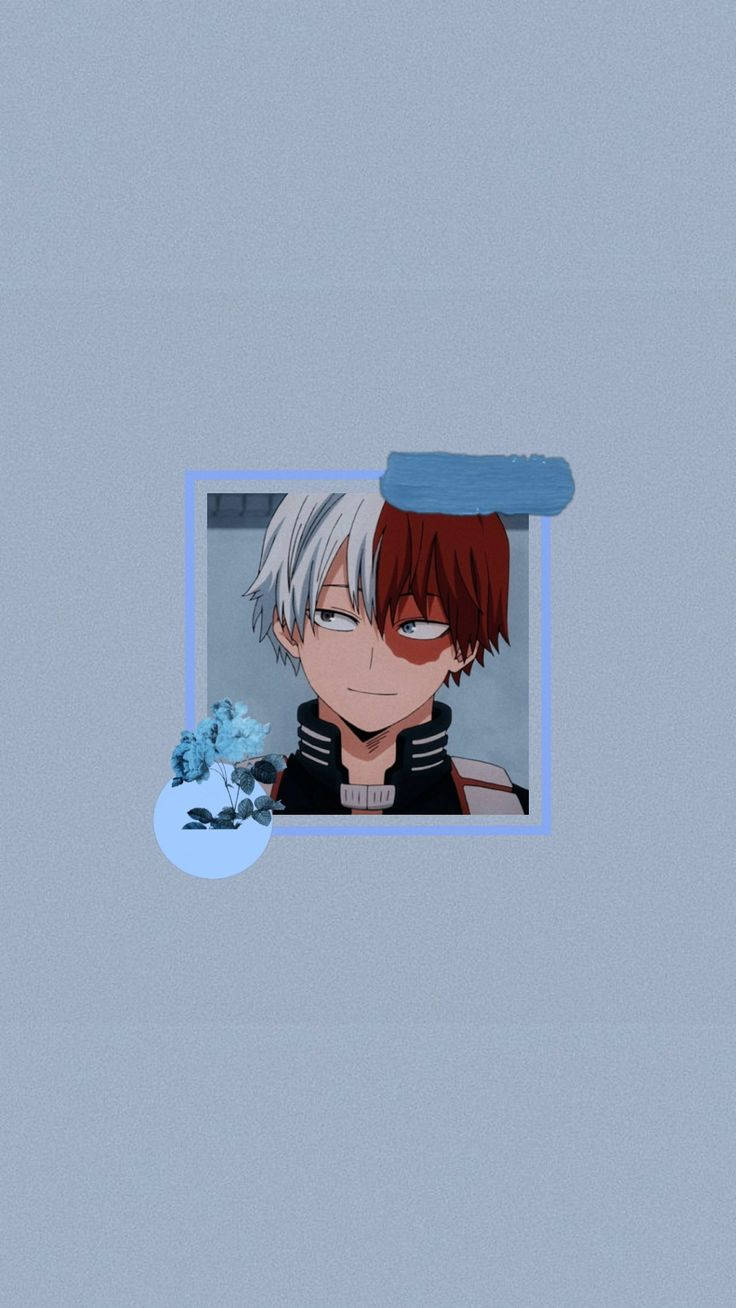 My Hero Academia, Todoroki, half white half red hair, HD Phone Wallpaper